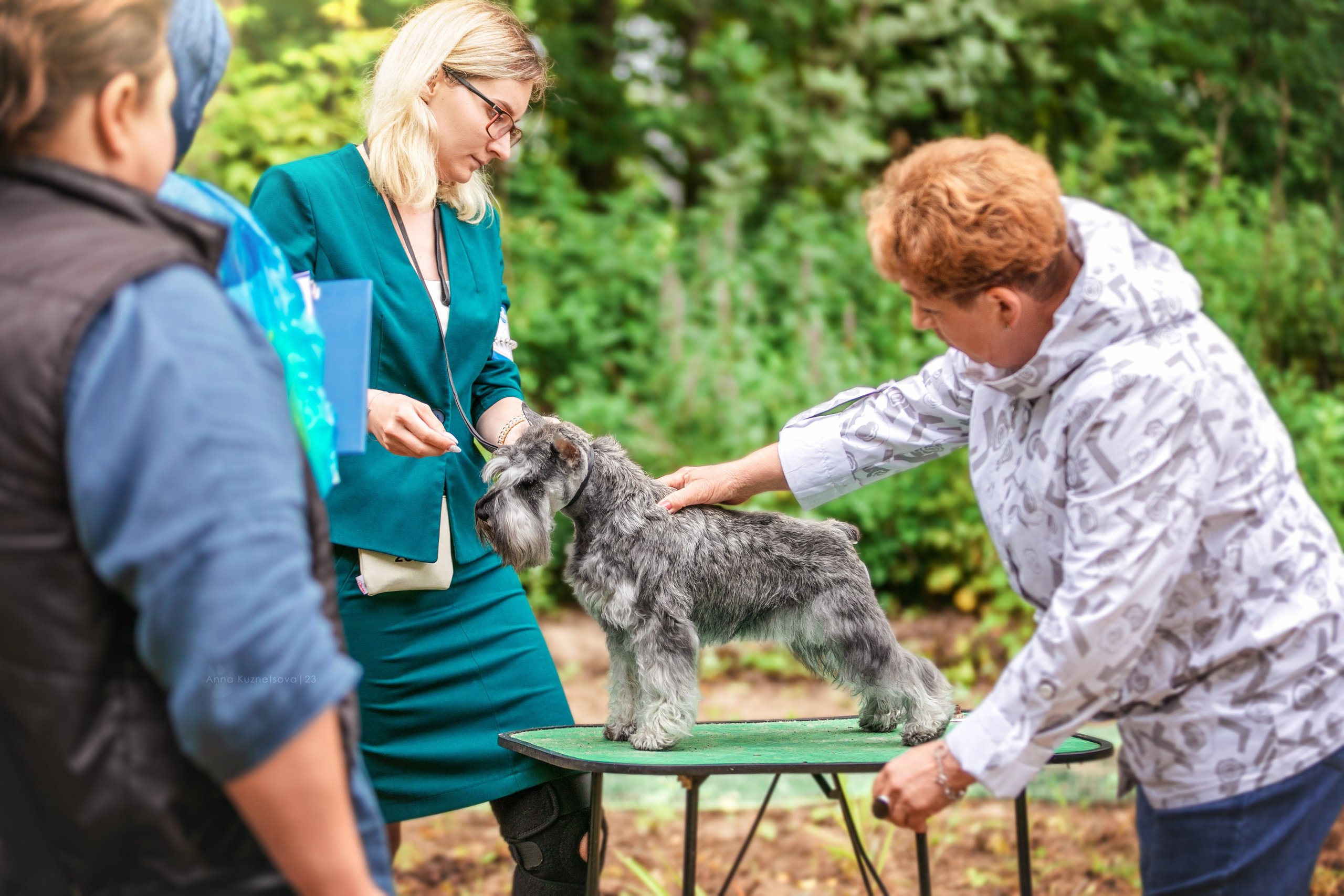 В ринге. Фотограф анималист Кузнецова Анна Нижний Новгород