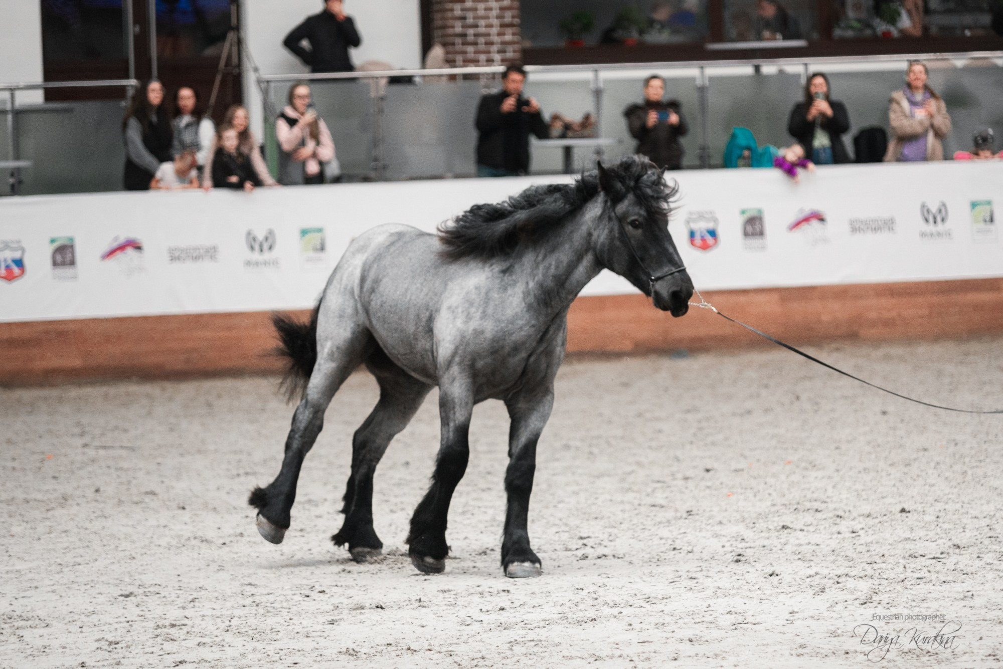 8-я международная выставка Конная Россия. Конный фотограф Куракина Дарья • Фотосессии с лошадьми