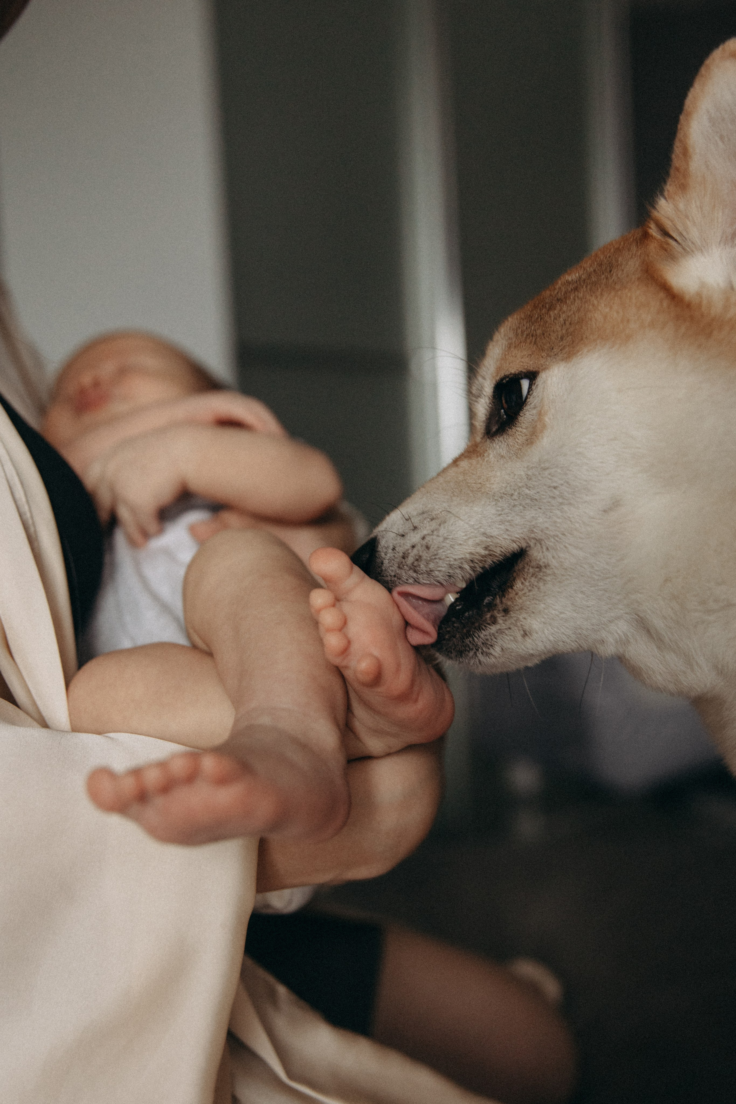 Виктория, Алексей и Андрюша. Семейный фотограф Земскова Евгения
