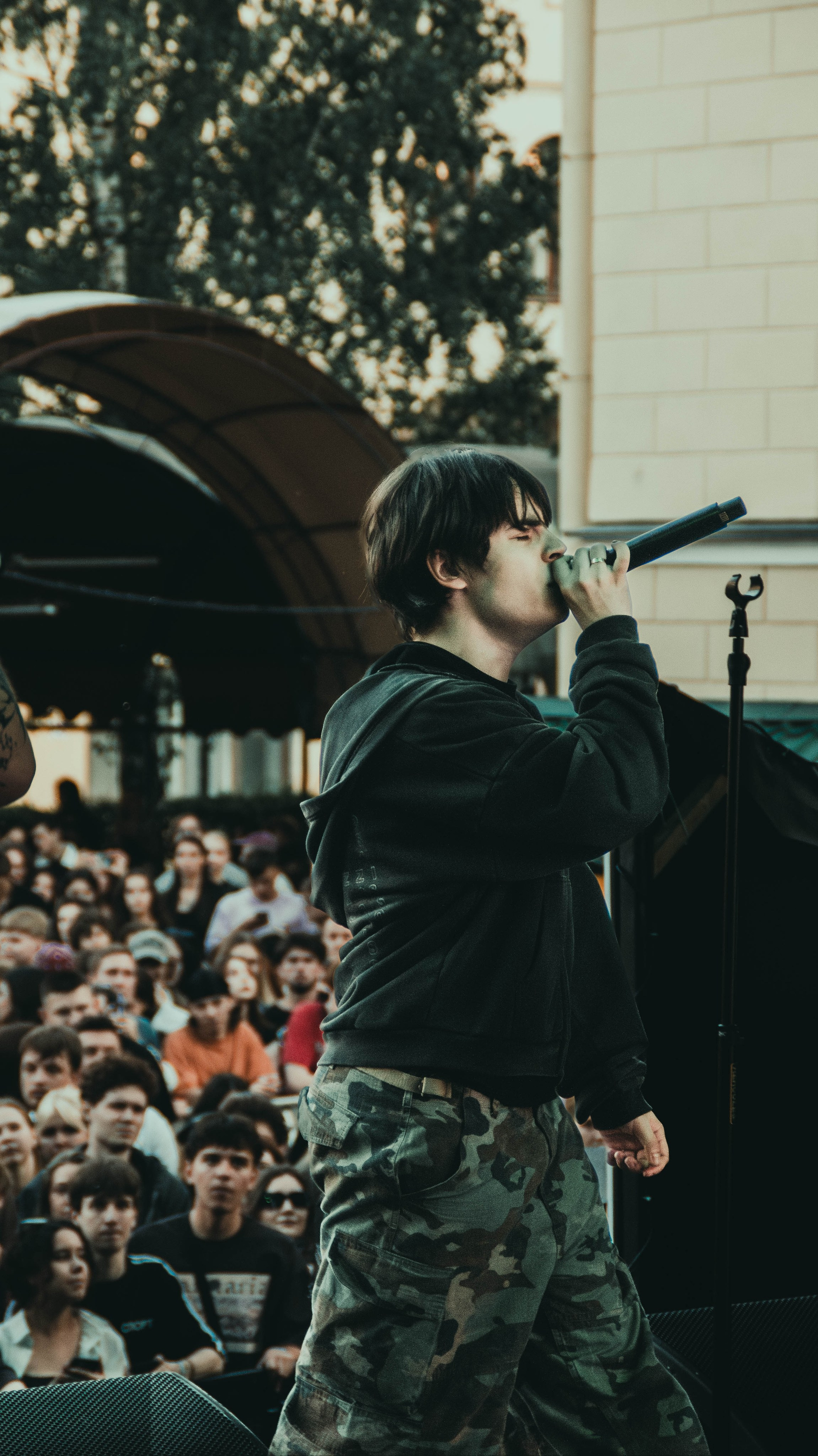 SALUKI. Фотограф montefrioree