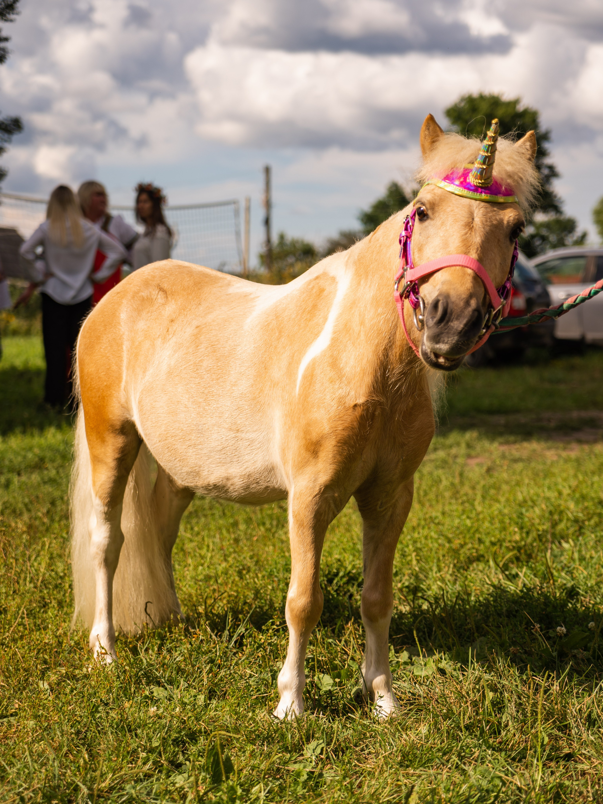 День села Новосёлка. Фотограф Москва