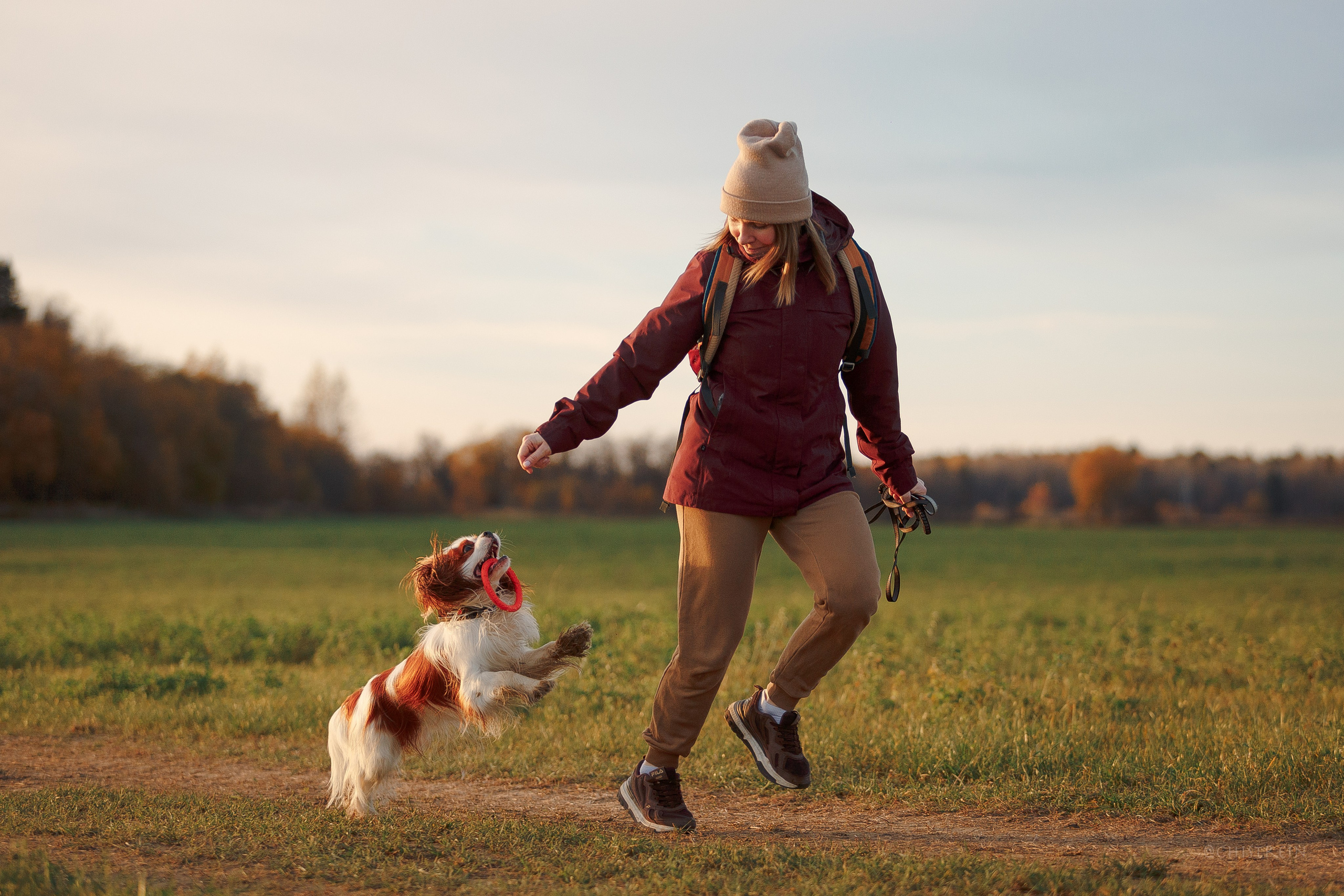 Октябрьский закат в полях. Алина и Лео. Фотограф-анималист Наталия Чистюхина в г. Сосновый Бор и ЛО