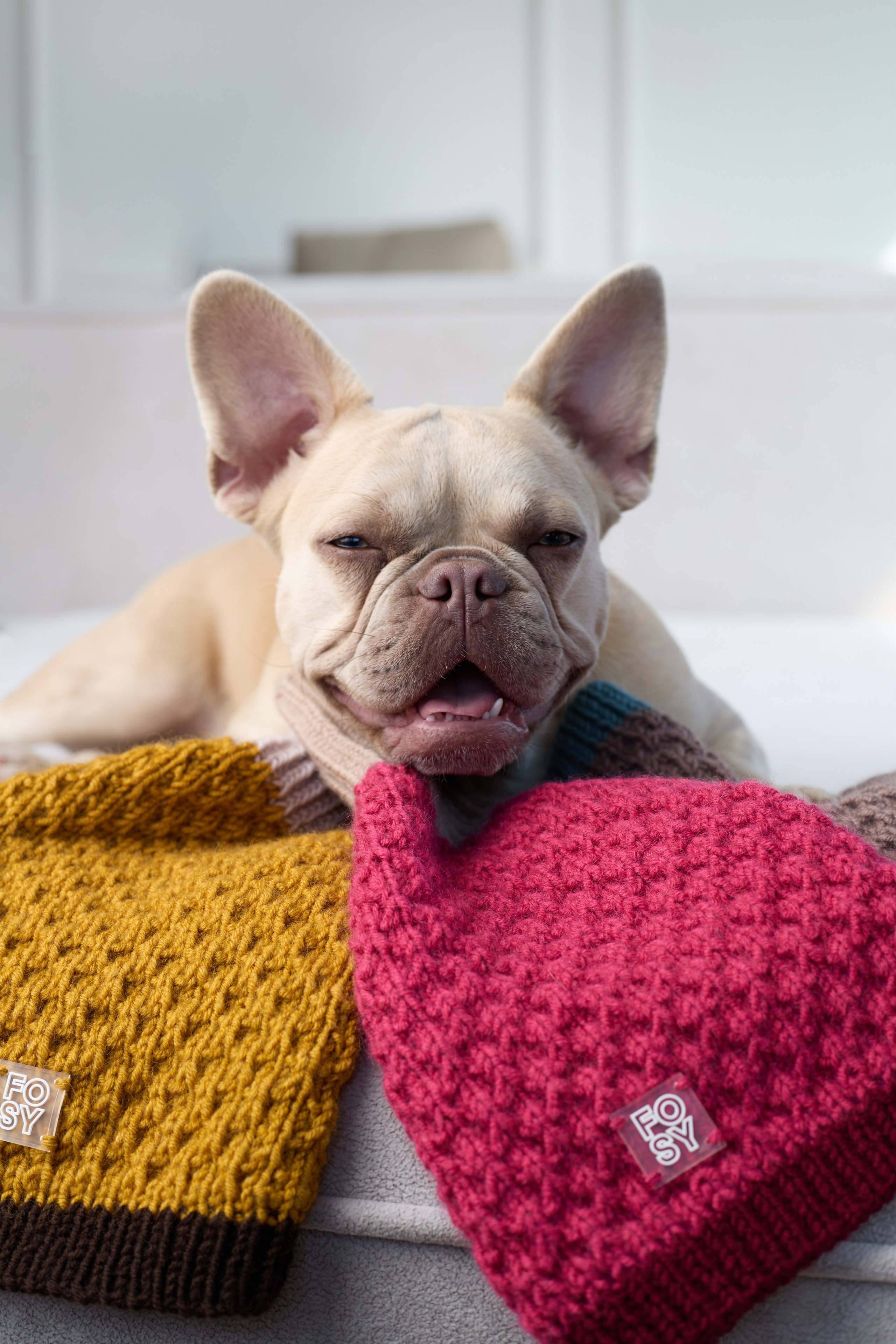 FOSY. Фотограф|Москва-СПб| Анастасия Рябинина