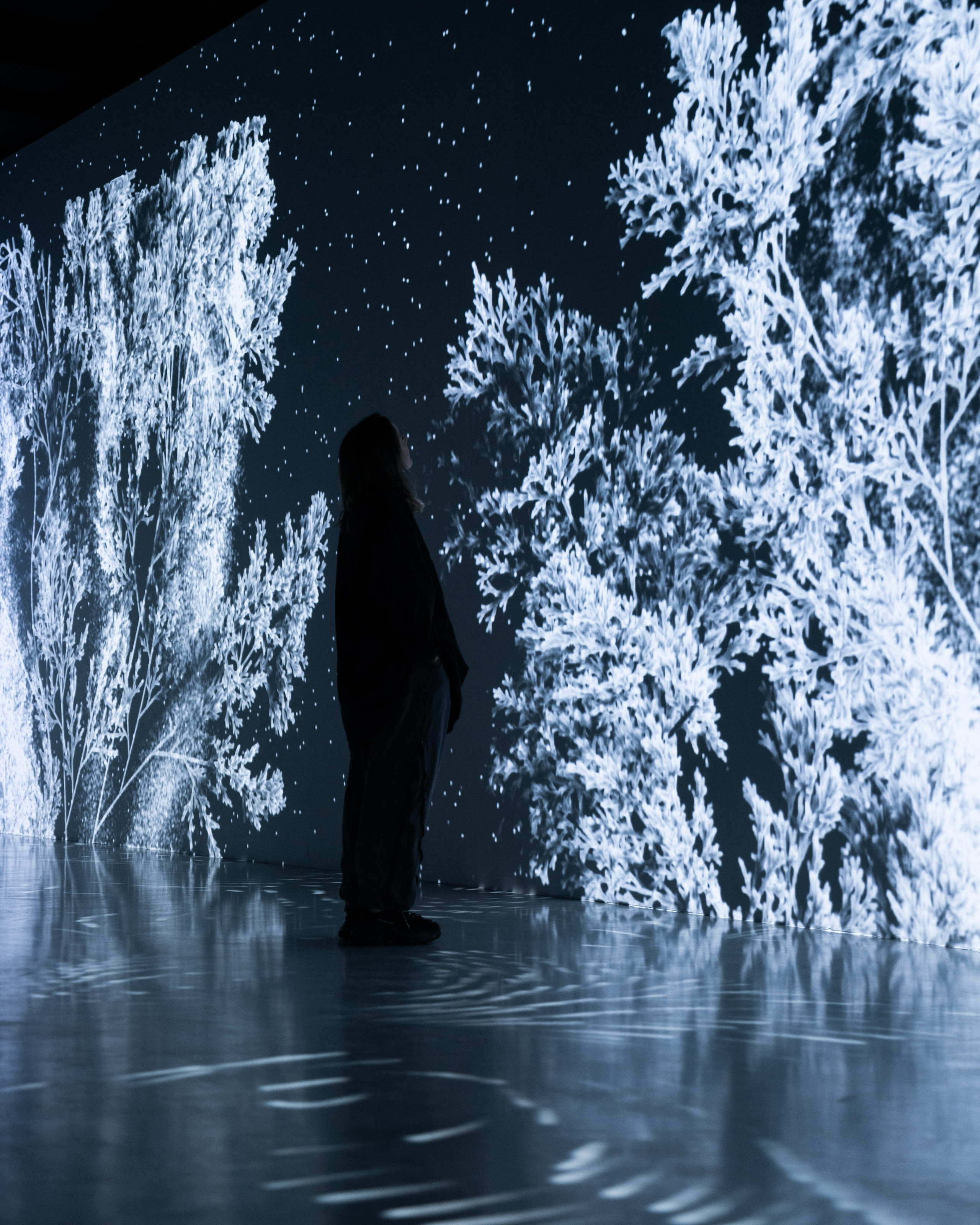 Generative Gallery & Luminar X, Making Magic. @tomrus: Рустам Шагиморданов — фотограф