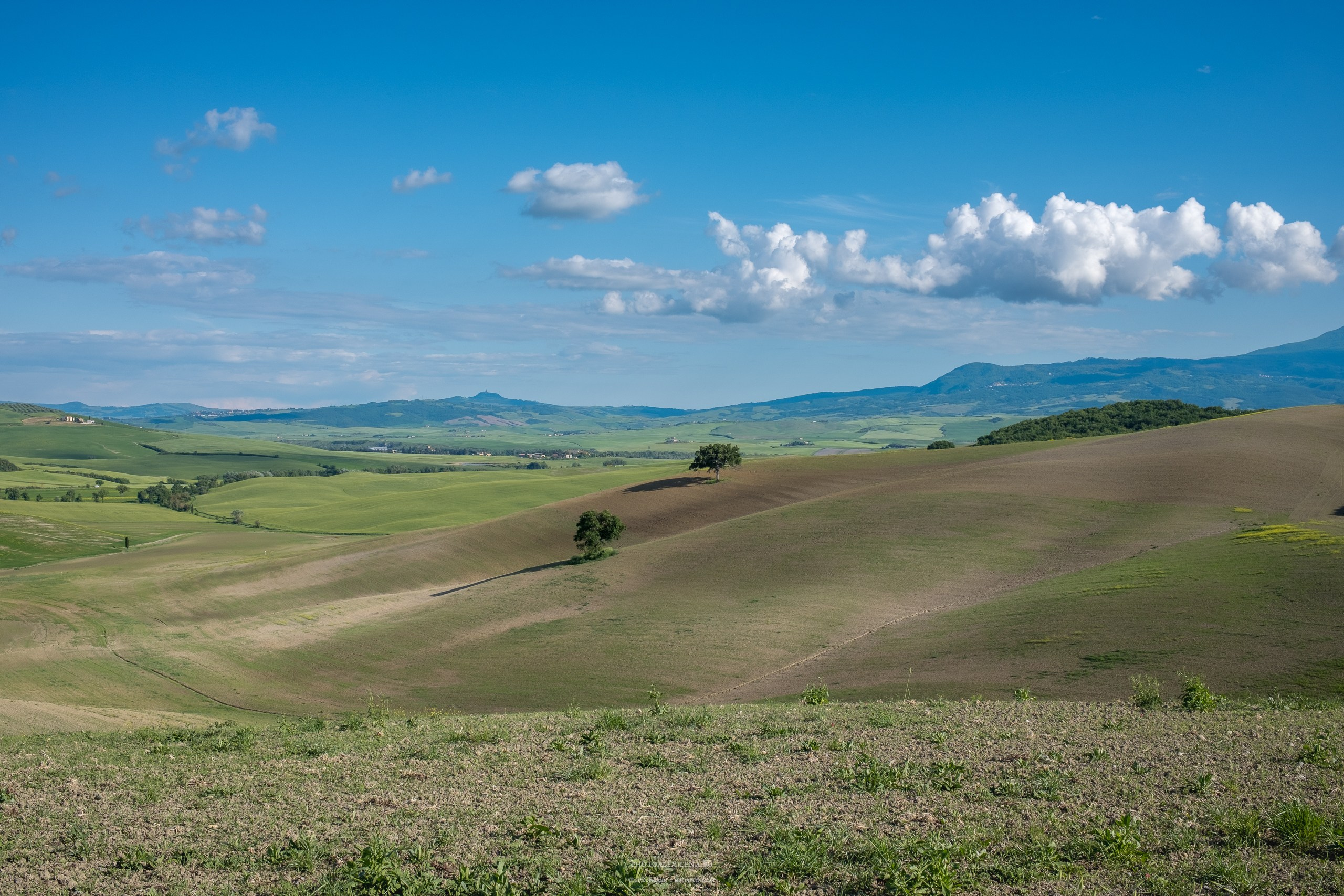 Долина Валь д’Орча-сердце Тосканы. Авторские стильные фотокартины