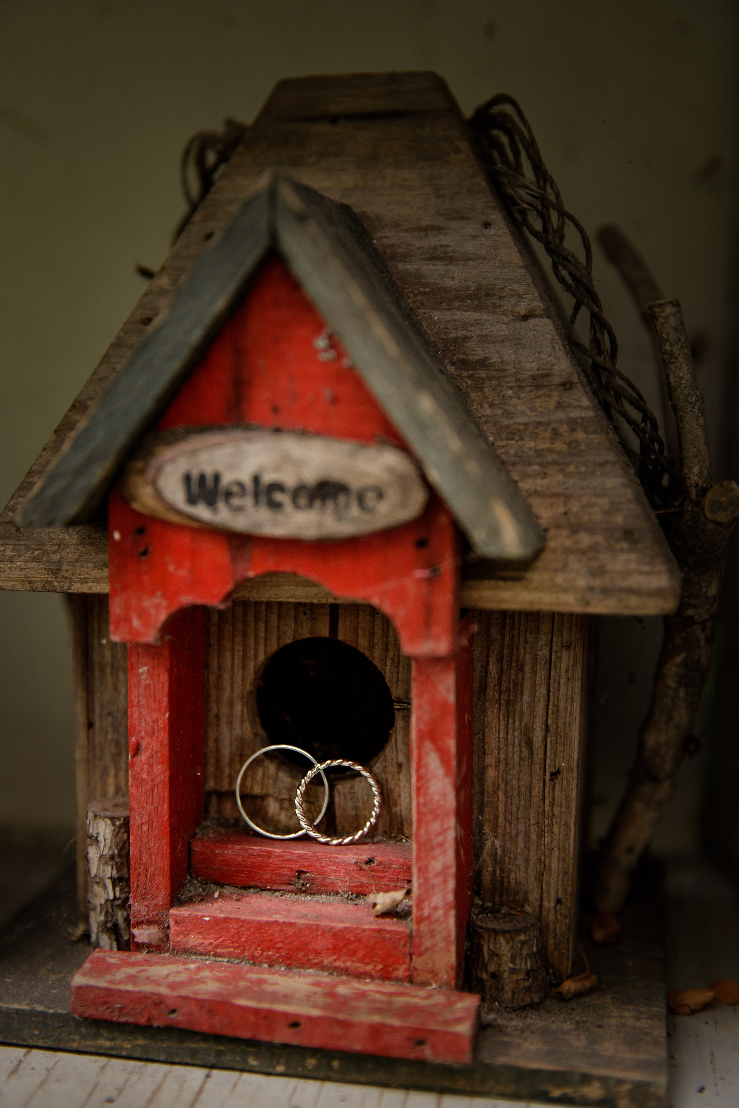 Александра и Вячеслав. Светлана Иванова - профессиональный фотограф