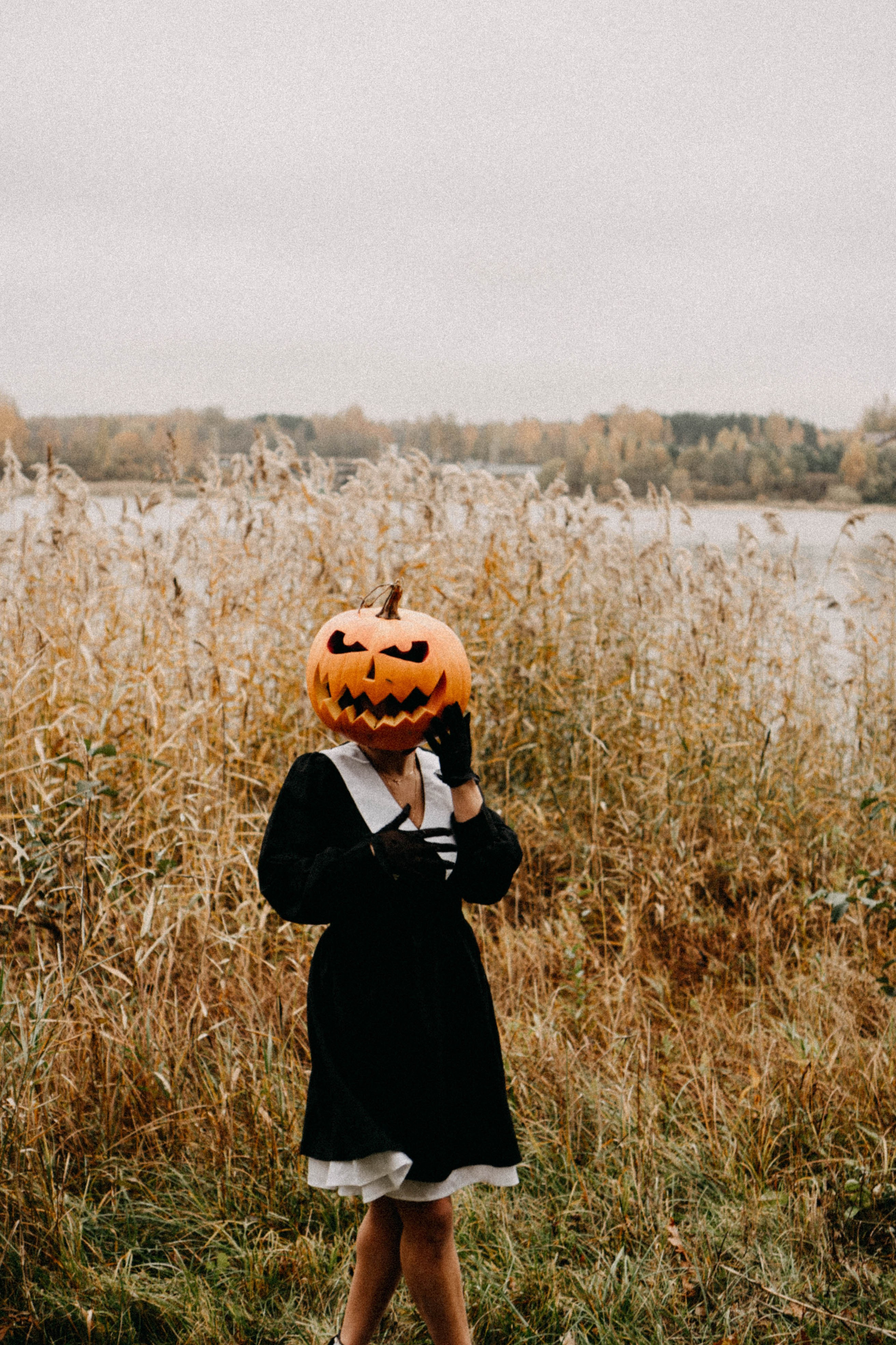 Осеняя. Профессиональный фотограф, Санкт-Петербург — Виктория Богомолова
