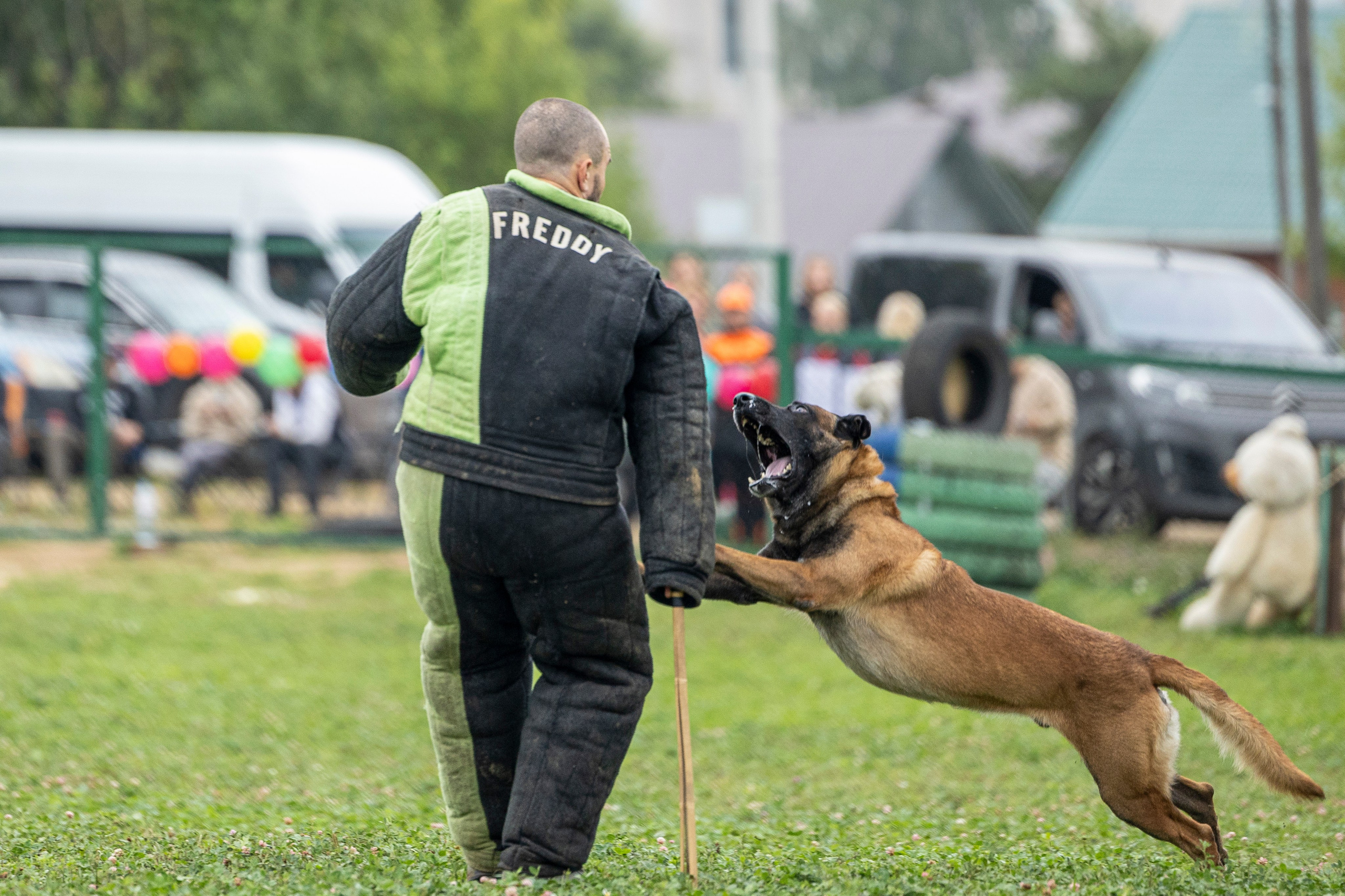 Соревнования по Мондьорингу г. Вологда 10-11.08.2024. Фотограф-анималист Анна Маринич