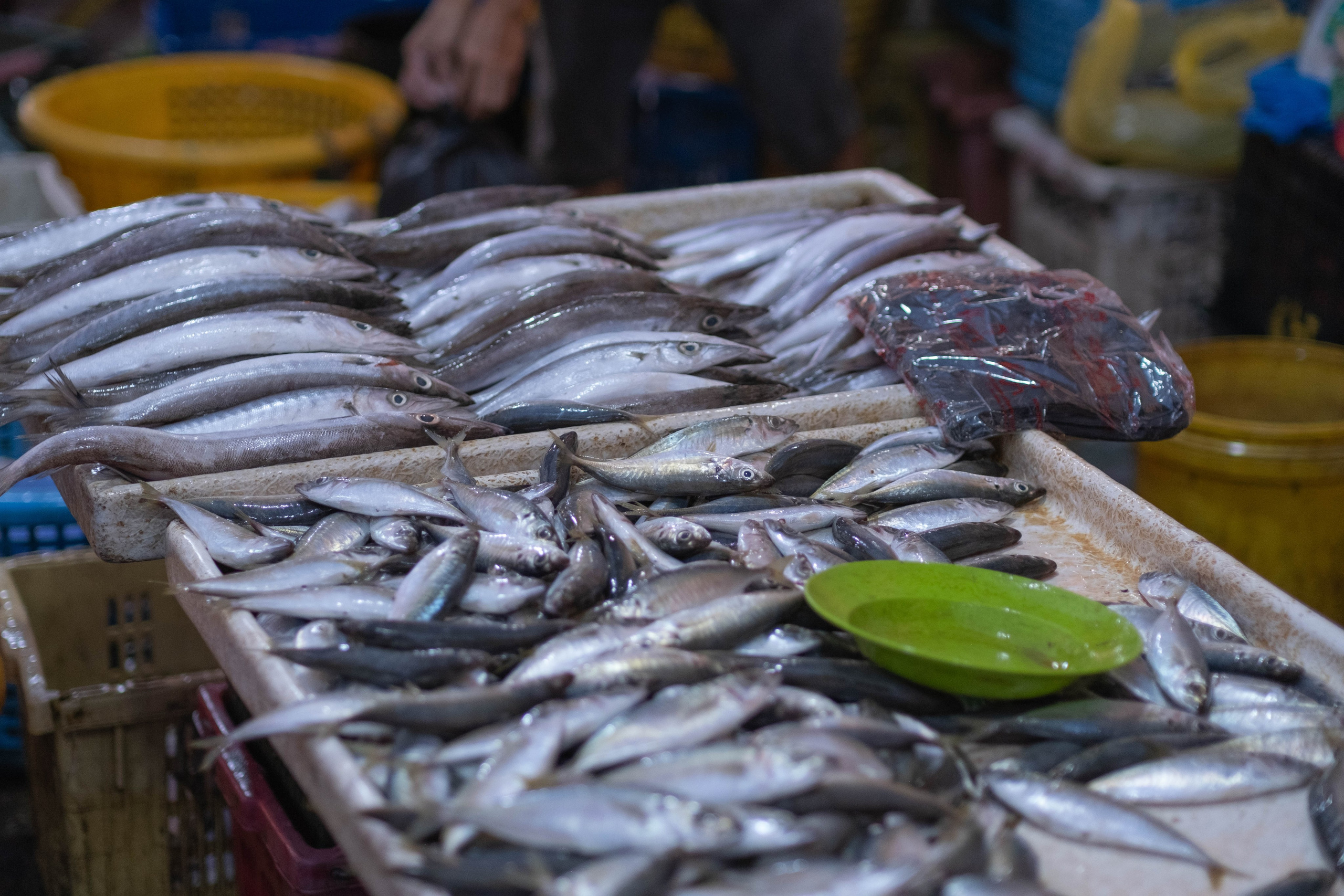 О. Борнео, г. Сандакан. Порт и рынок. Фотографии из путешествий