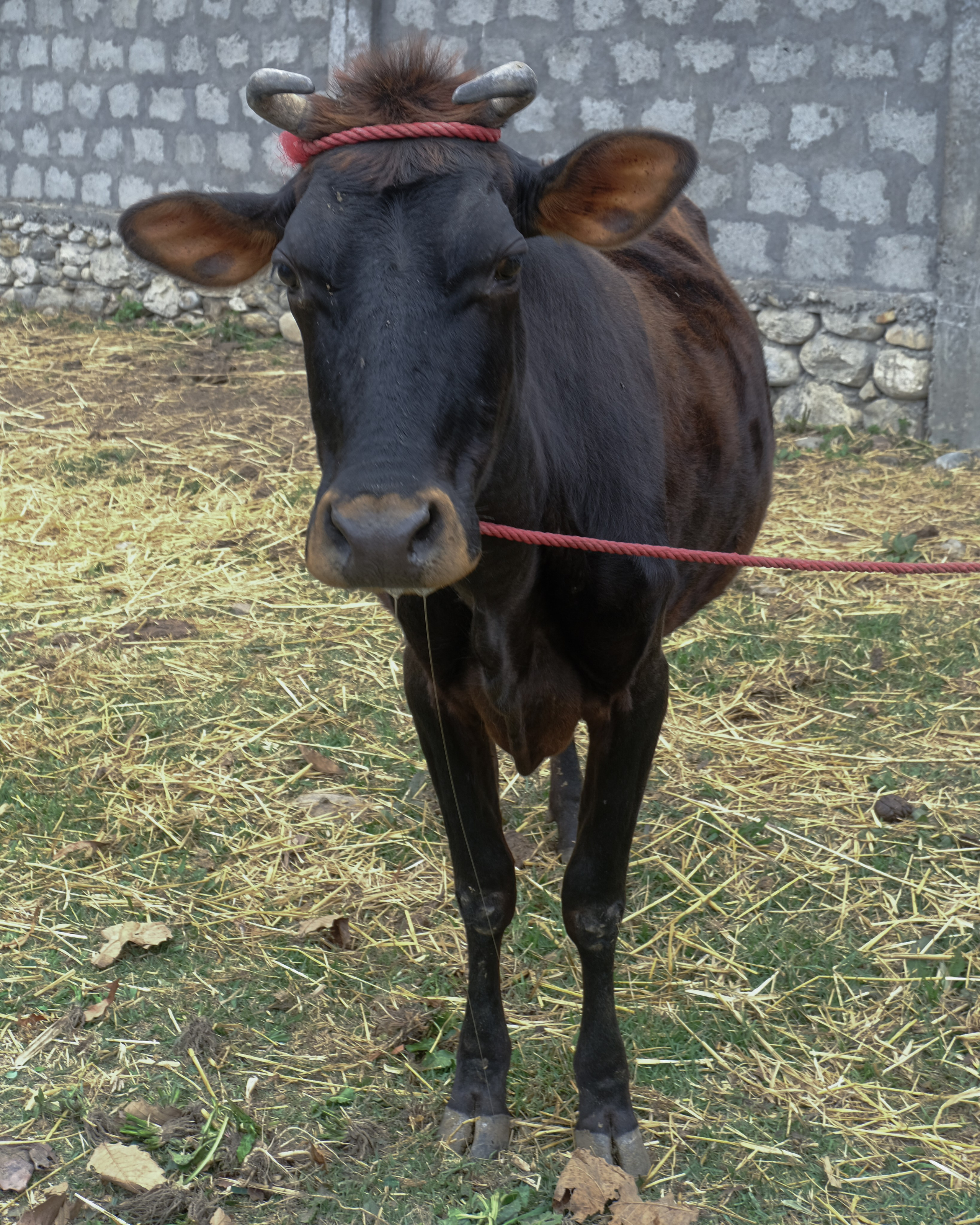 Индия 4-й день. Фотографии из путешествий