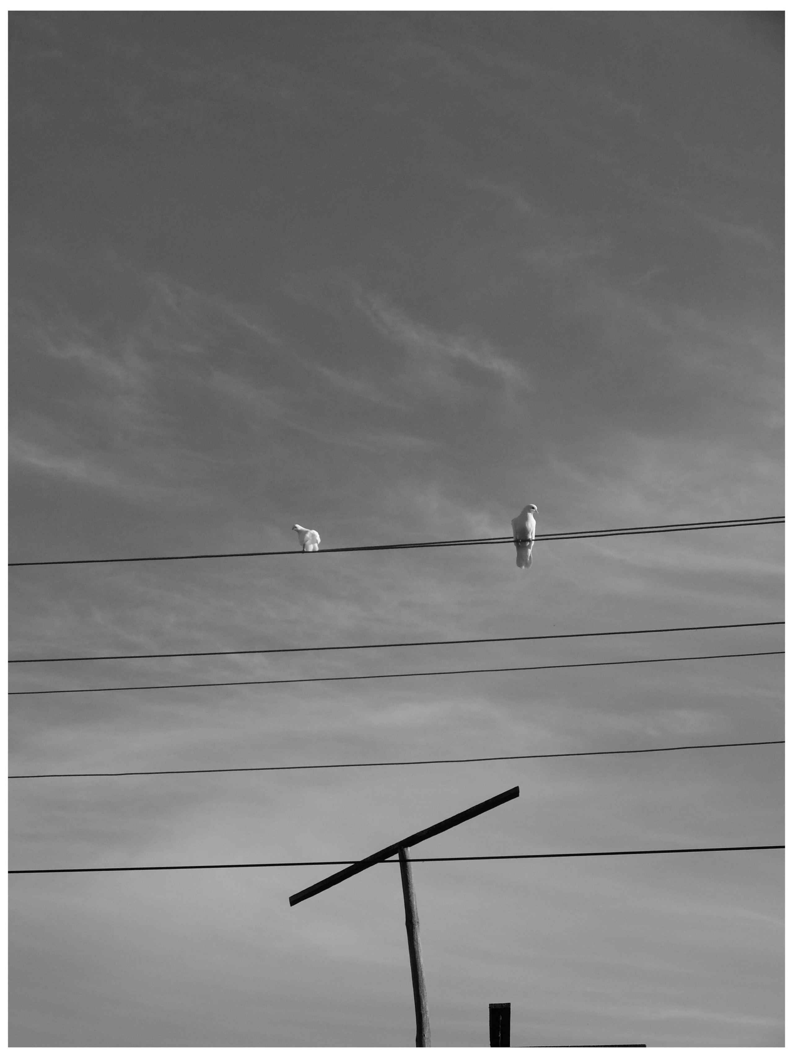 Промежуточные моменты (2022)