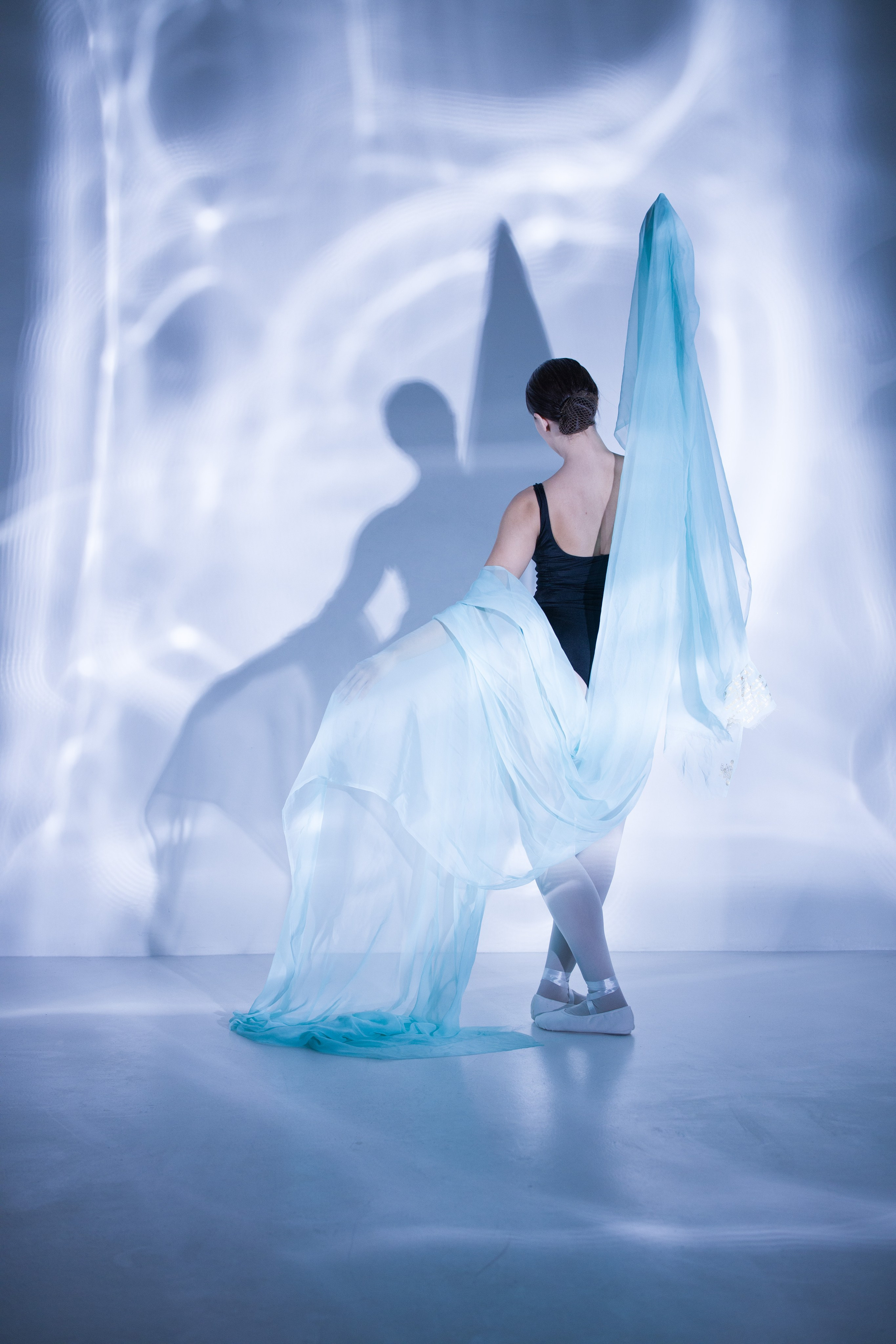 Лилия. Художественная фотография