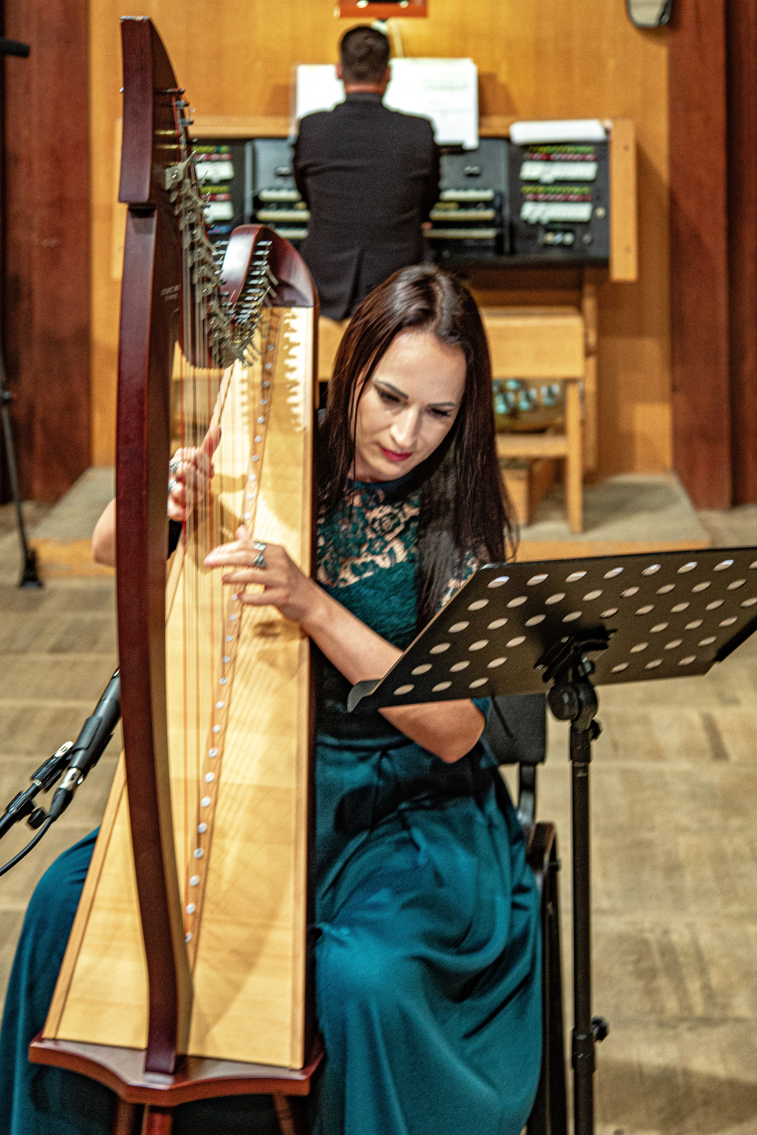 25 фестиваль органной музыки город Сочи. Фотограф в Сочи Юрий Шептаев