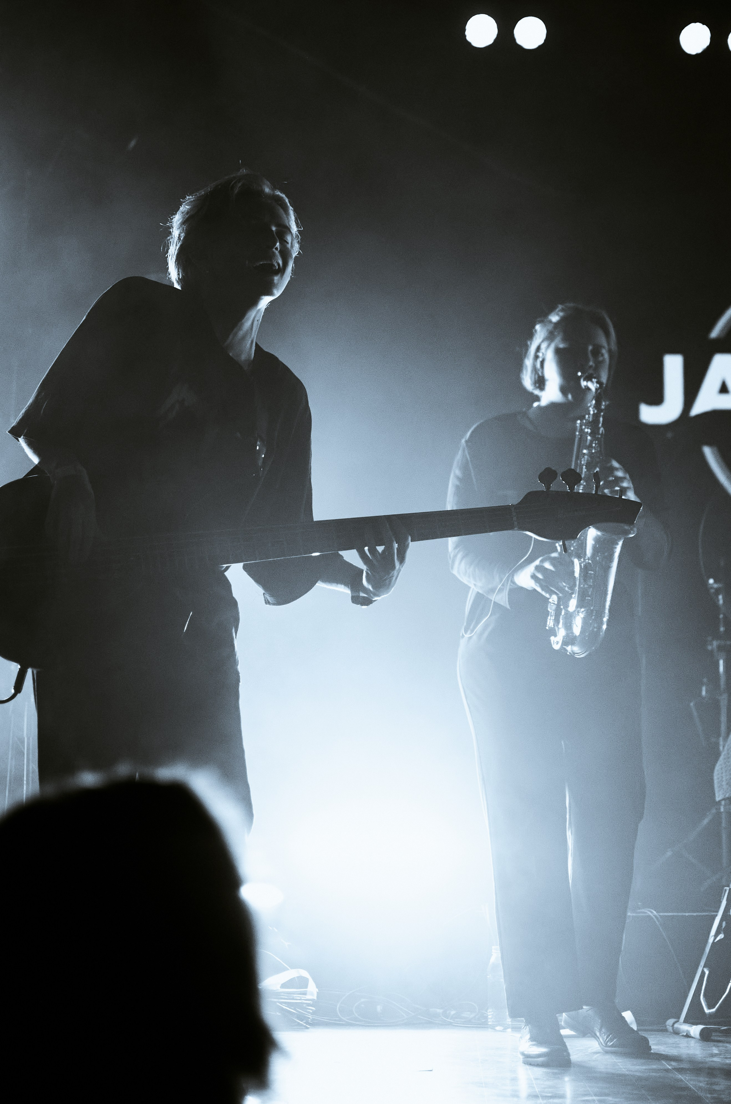 Концертные фото. Wirinsens