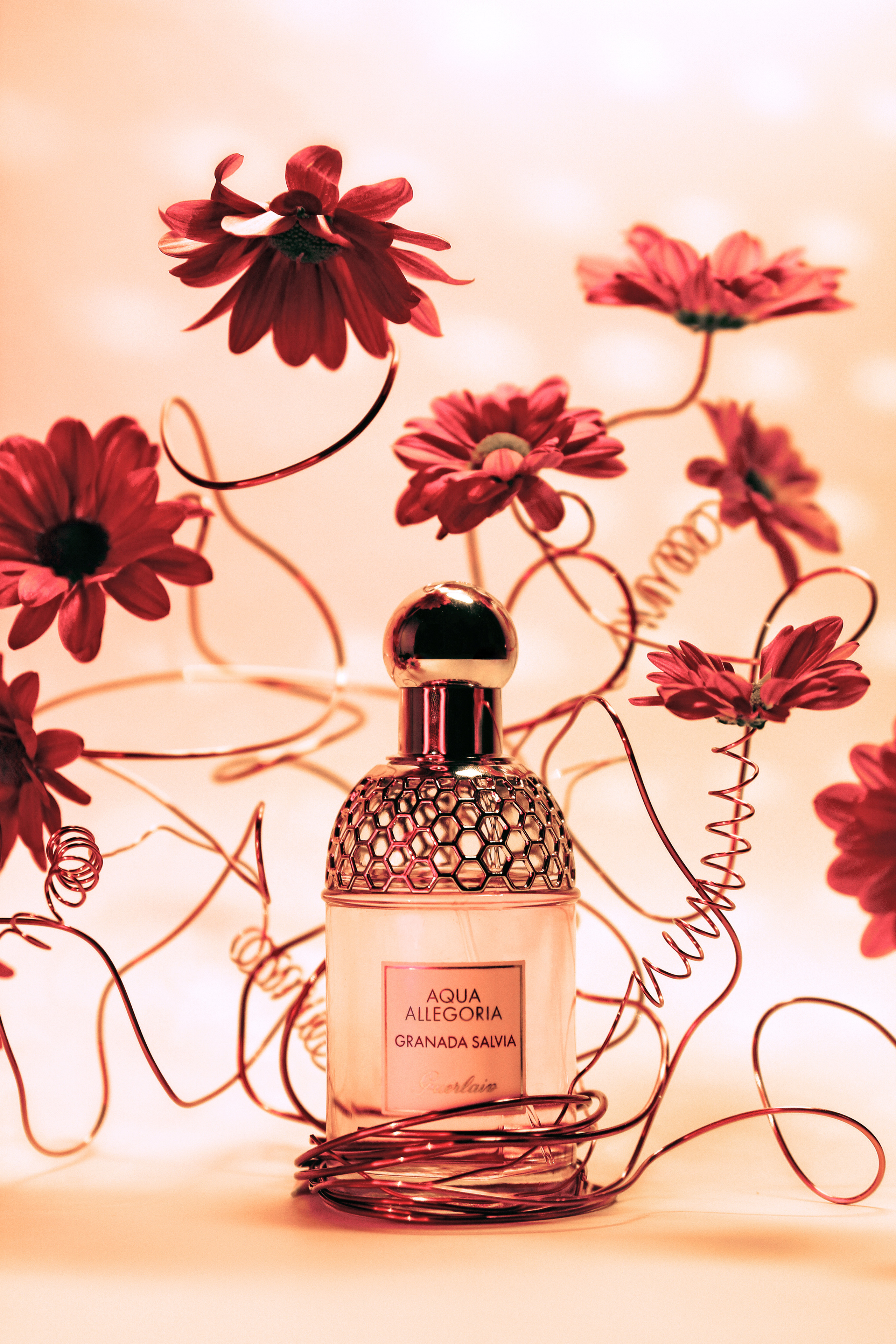 GUERLAIN. Photographer. Producer. Retoucher