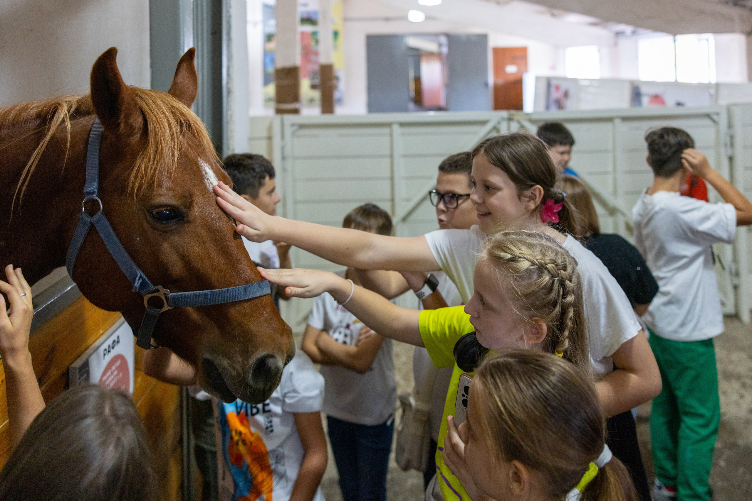Поездка на поле Кулеково. Фотограф в Туле Крупский АнДРей. Фотостудия «КАДР71» в Туле
