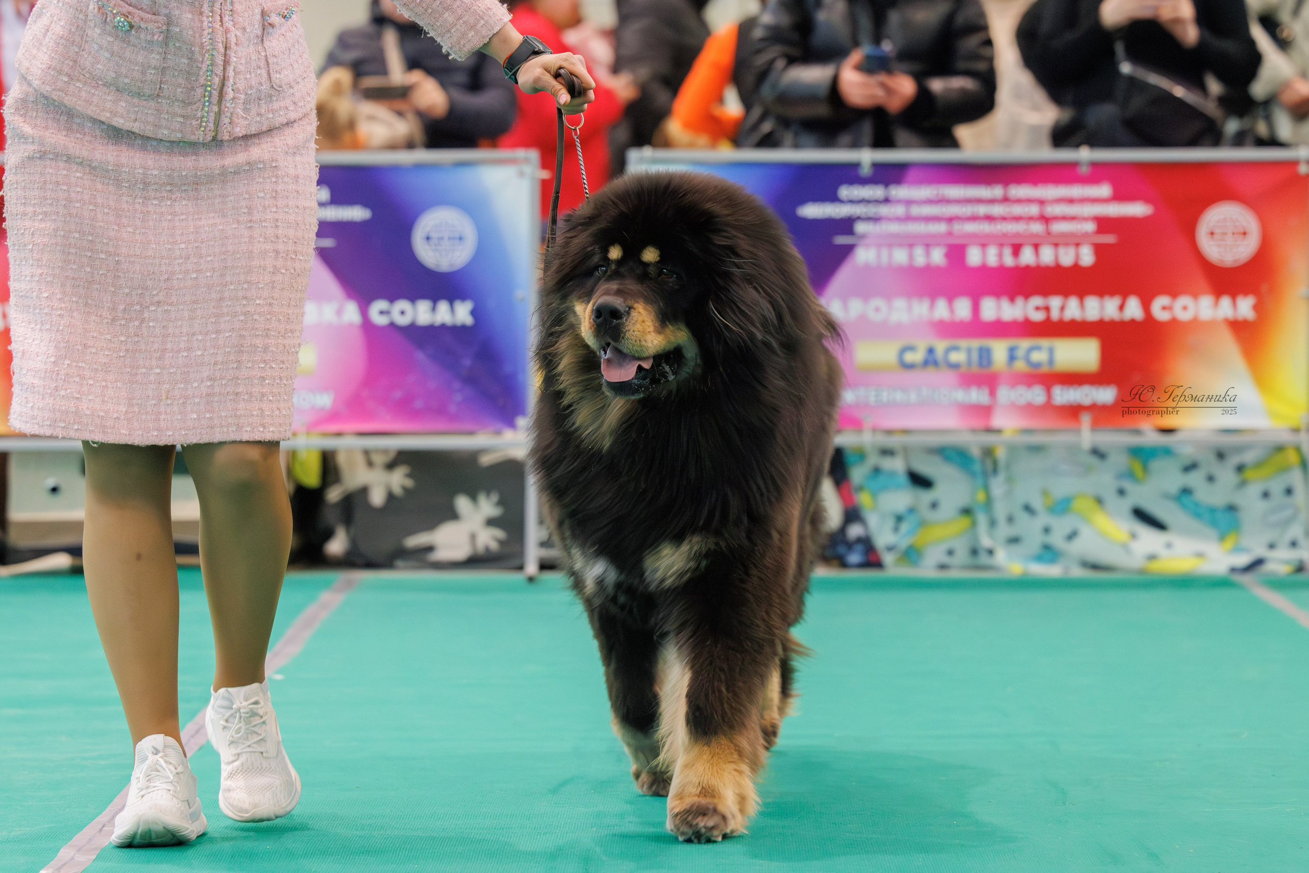 Минск 1-2.03.2025. Фотограф-анималист Юлия Германика
