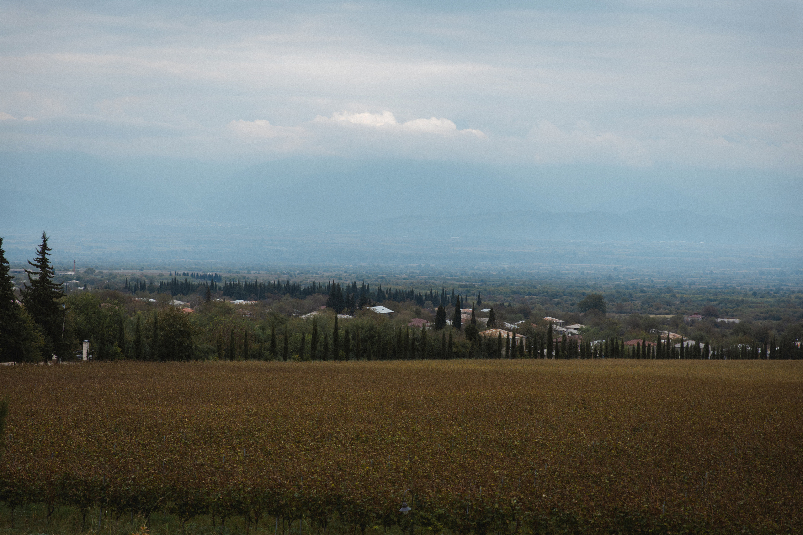 Mihail & Valeria. Anastasiya Krasnyuk