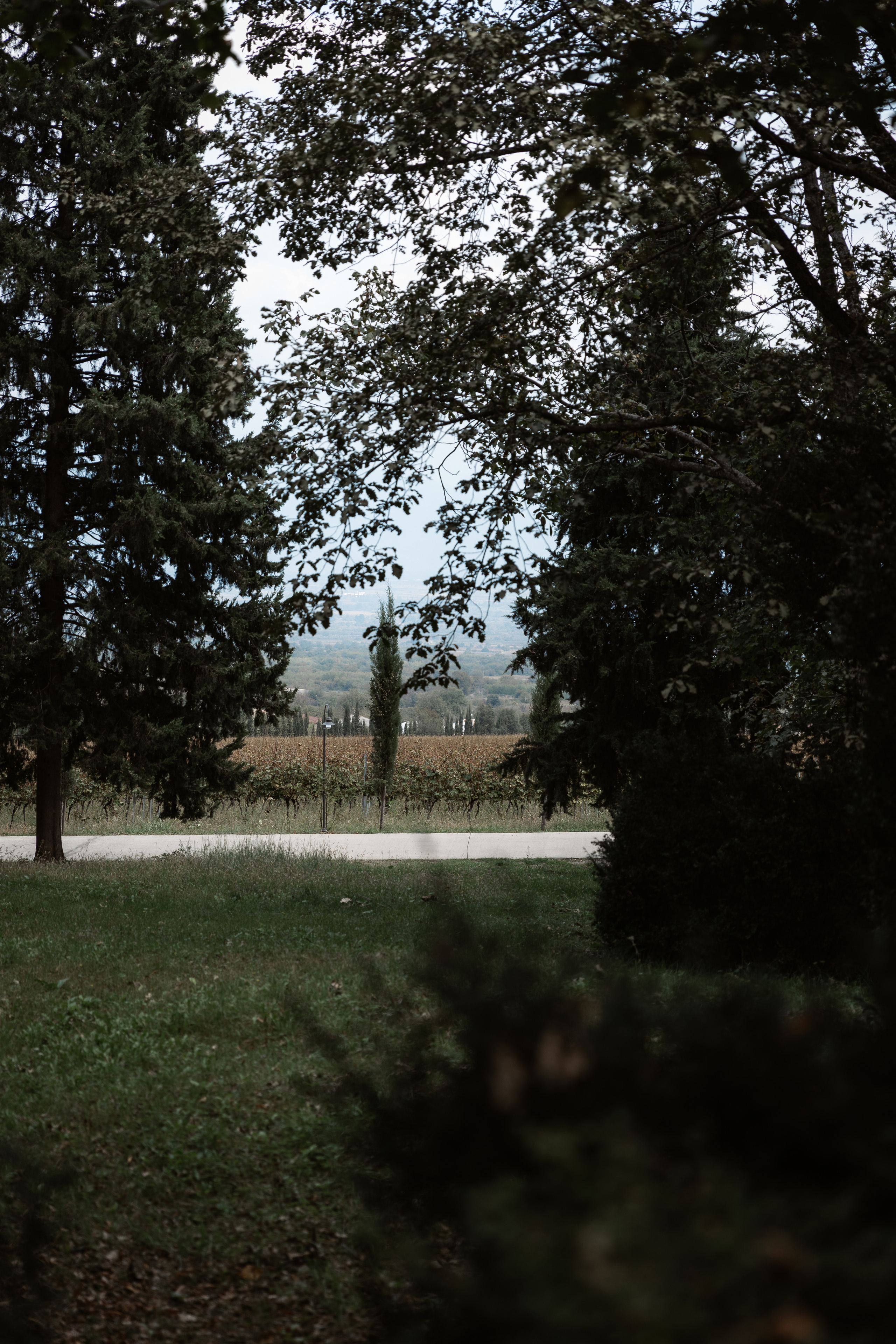 Mihail & Valeria. Anastasiya Krasnyuk