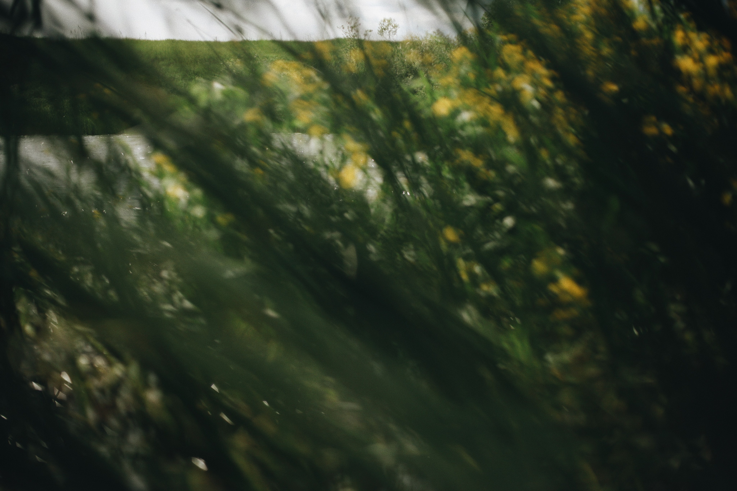 Река МИРА. Ксения Плотникова