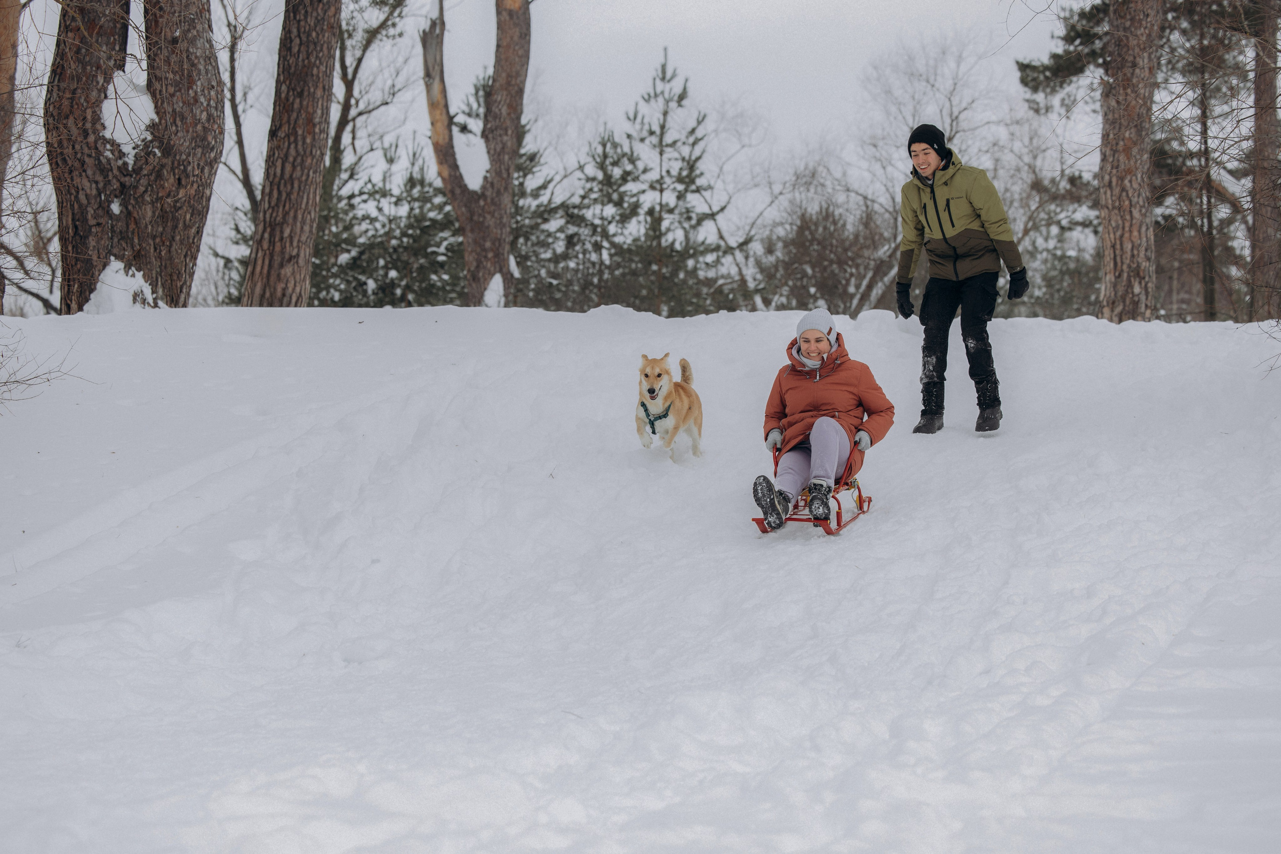 Прогулка на озере зимой. Фотограф анималист в Казани Алина Сулейманова. Фотограф животных