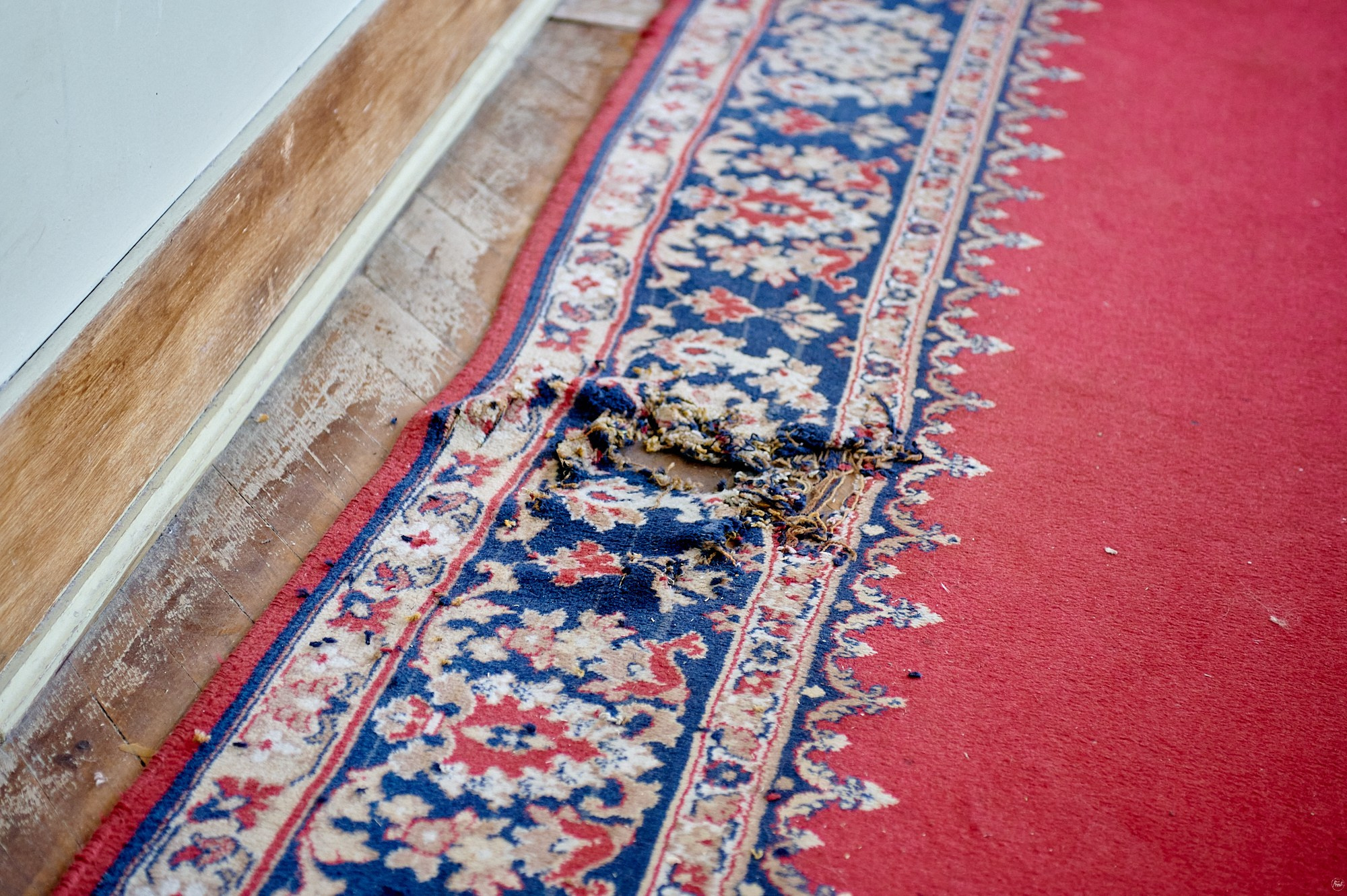 Санаторий им. Семашко, Кисловодск, август 2024. Фотографии отовсюду и обо всем