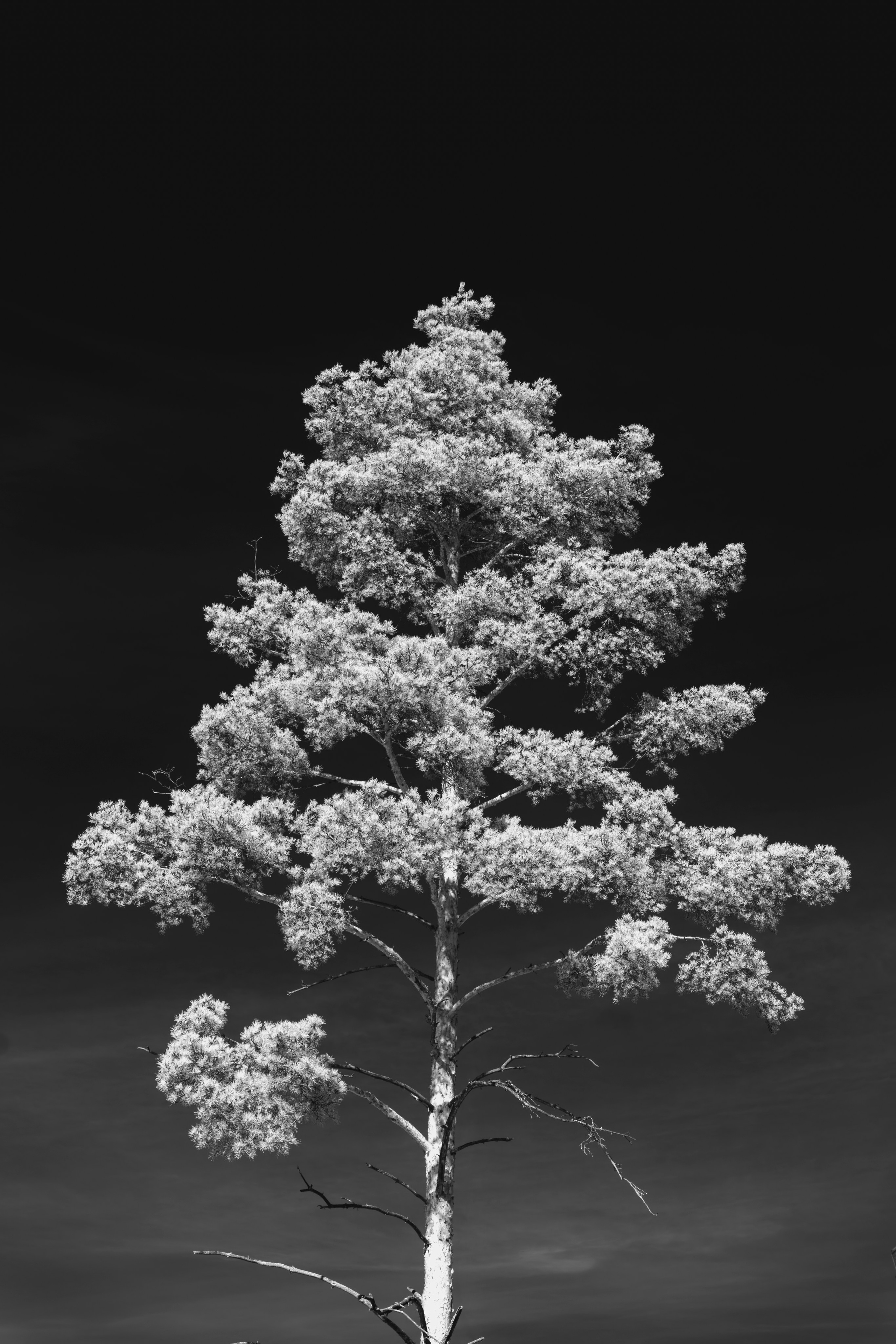 Black and White — Черно белый. A.i.production
