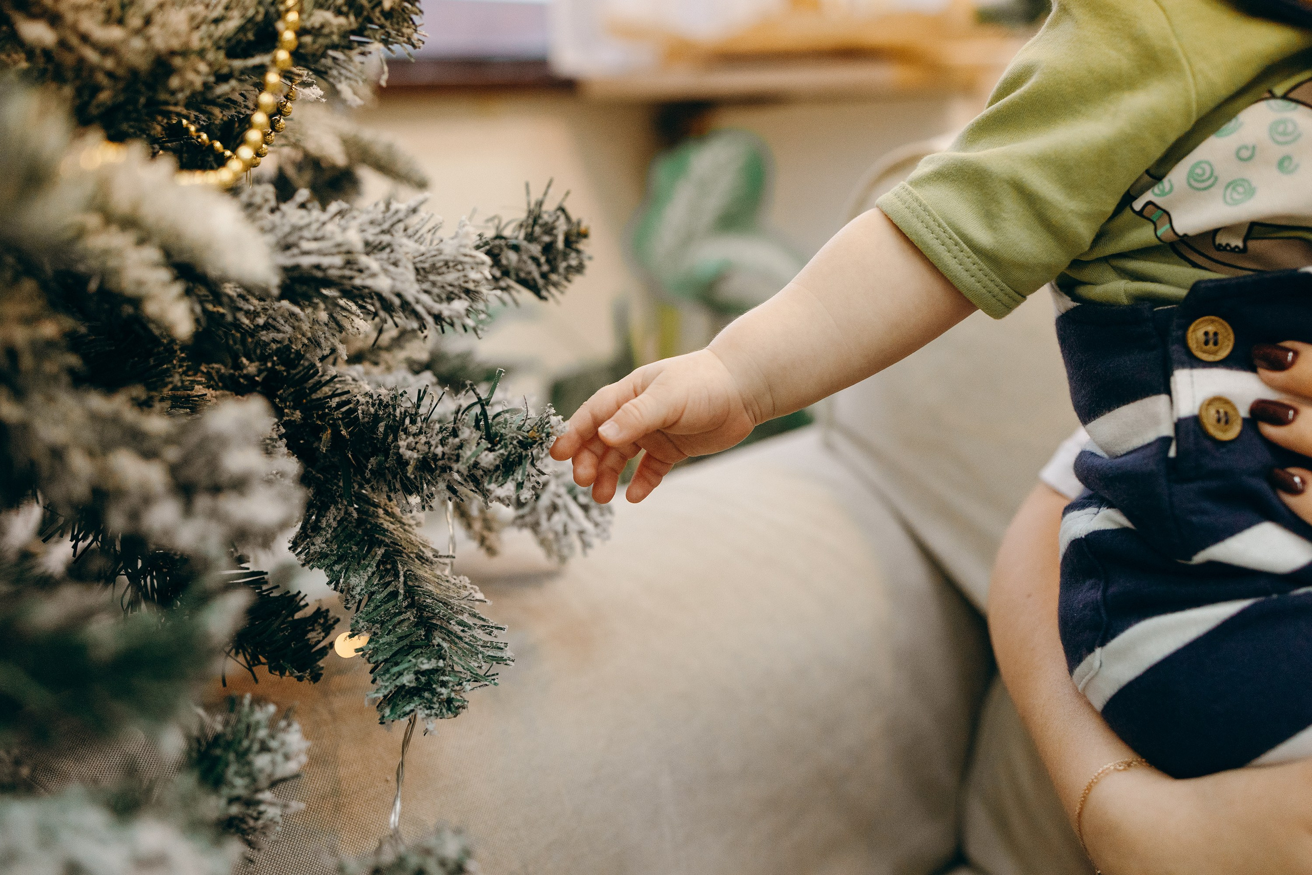 Семейная съемка в фотостудии. Фотограф. Фотограф-анималист. Москва