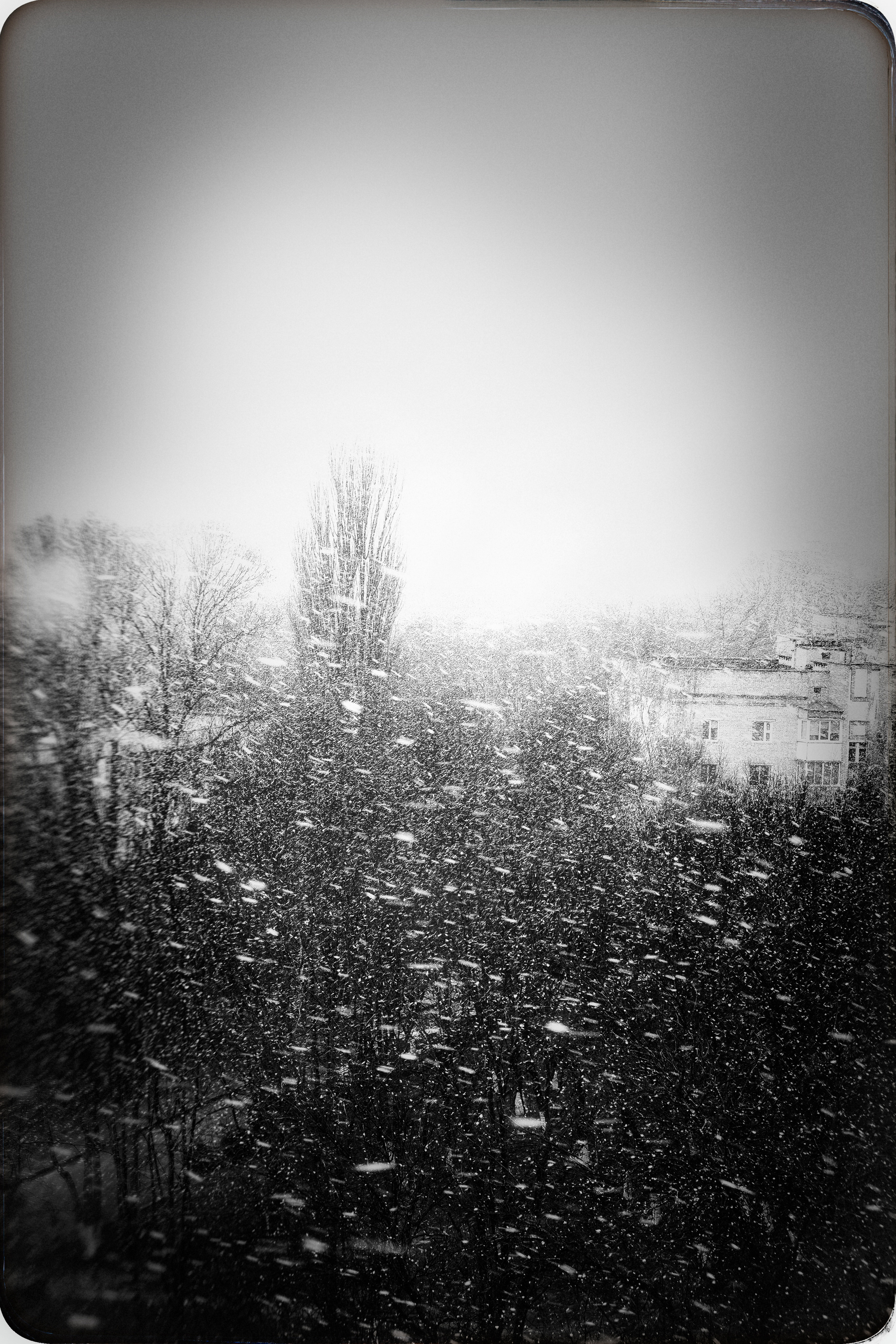 ЧБ  пейзажи (BnW landscape). Фотограф (photographer) Lischinski Vitaliy