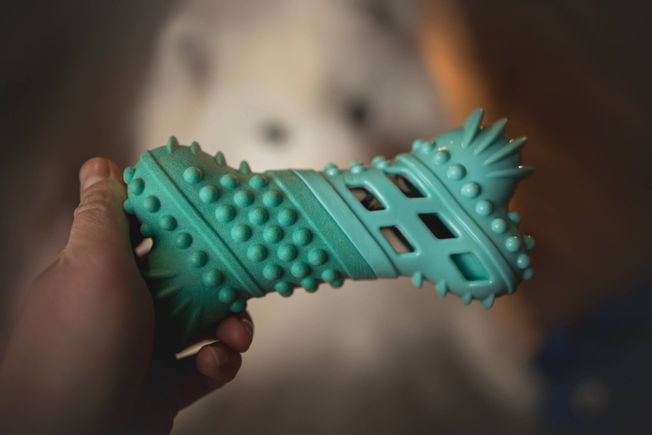 Для брендов. Фотограф анималист в Москве Майорова Евгения