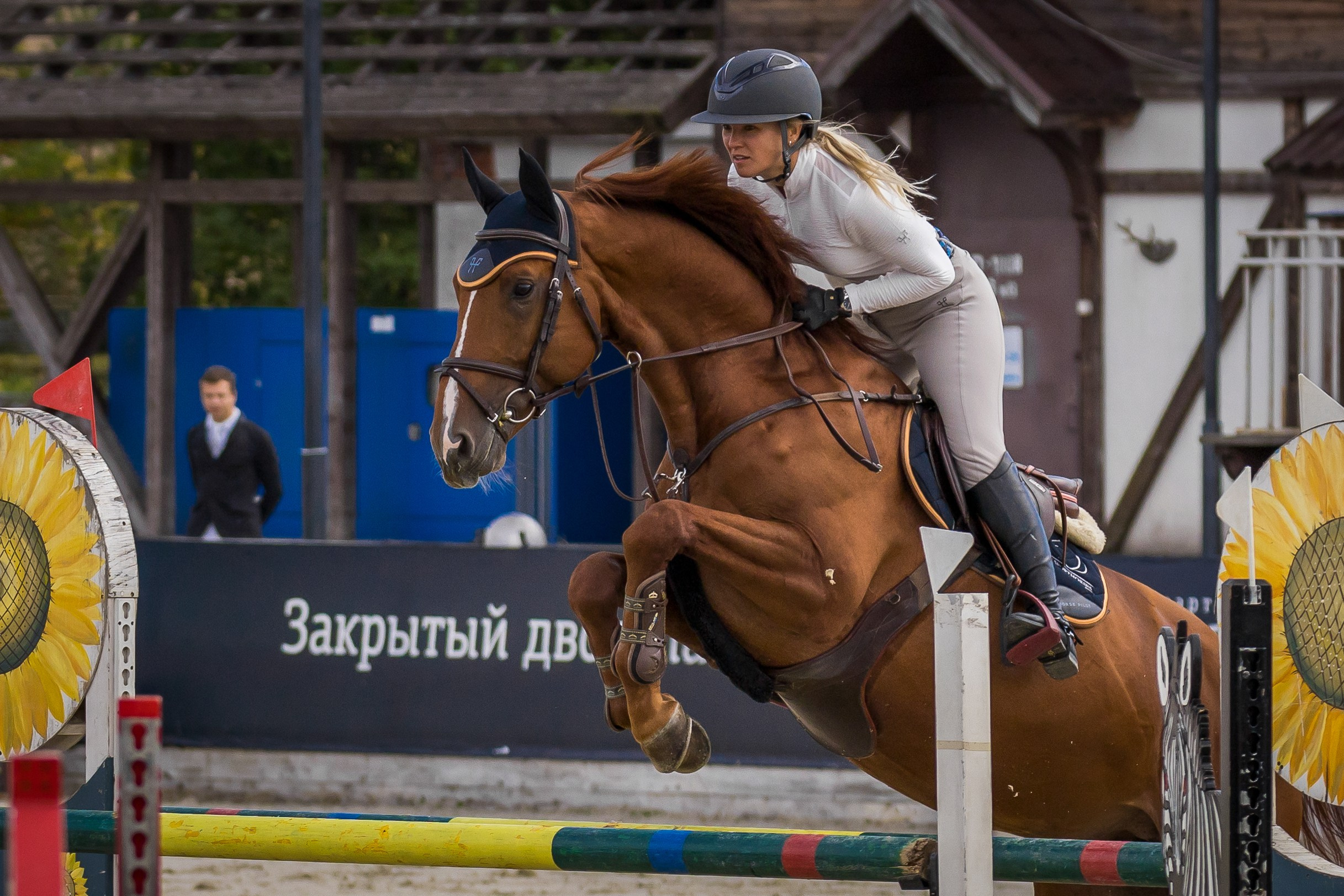 Конный спорт. Photomantis