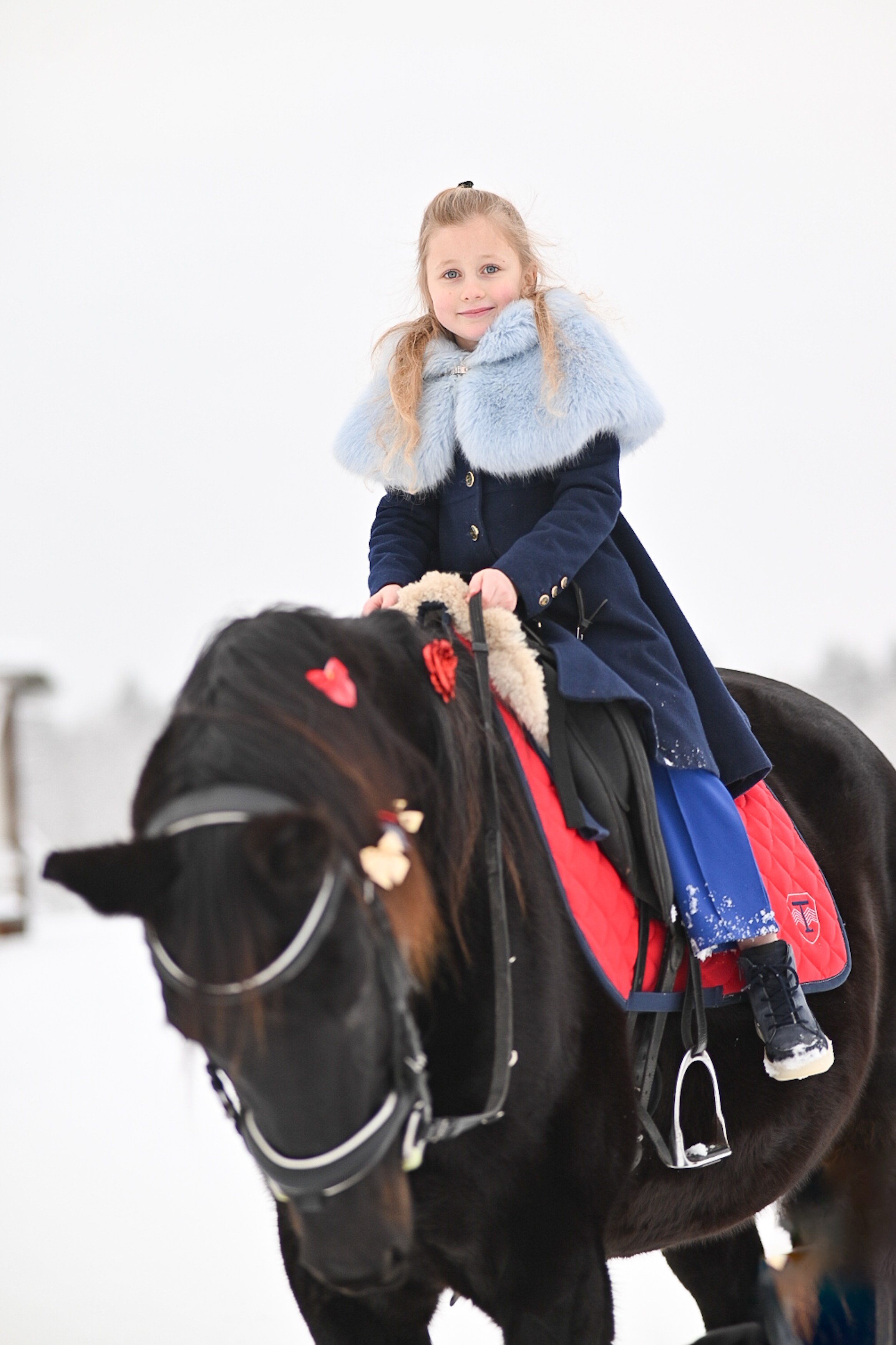King. LifeStyle фотограф Анна Воробьёва Санкт-Петербург