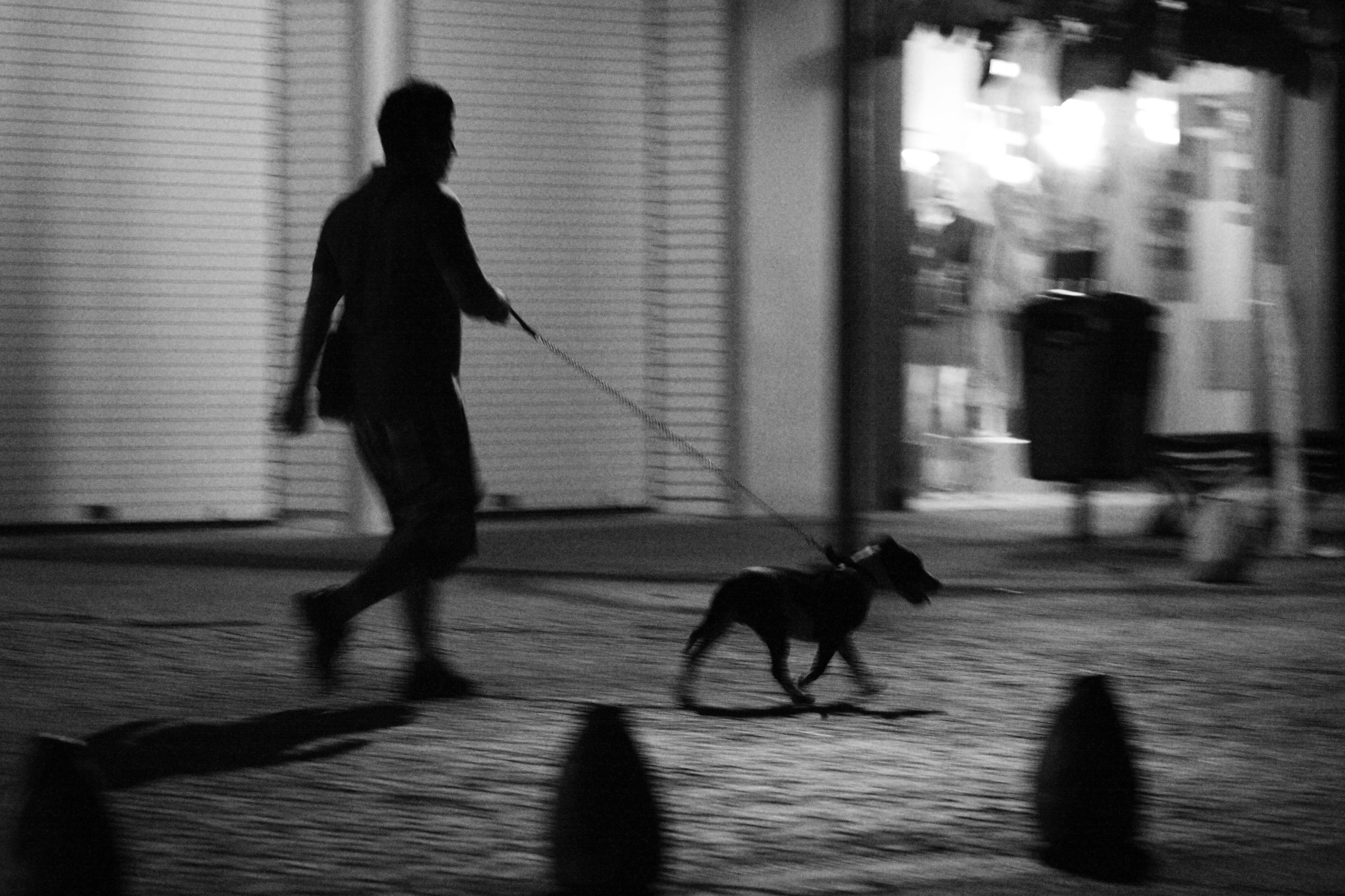 Жанр. Фотограф Лагутин Анатолий