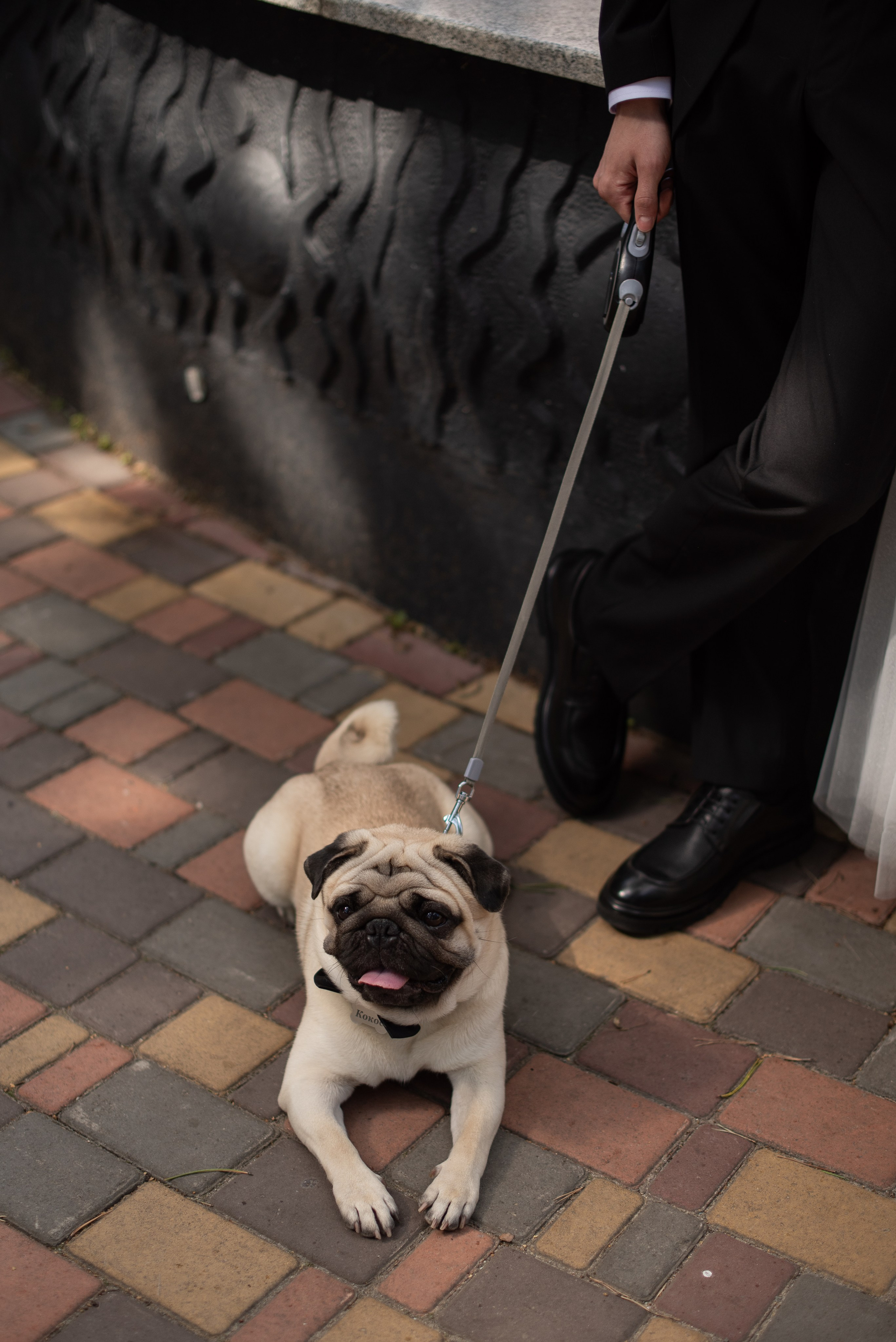 Свадебный фотограф в Миассе Татьяна Ружникова