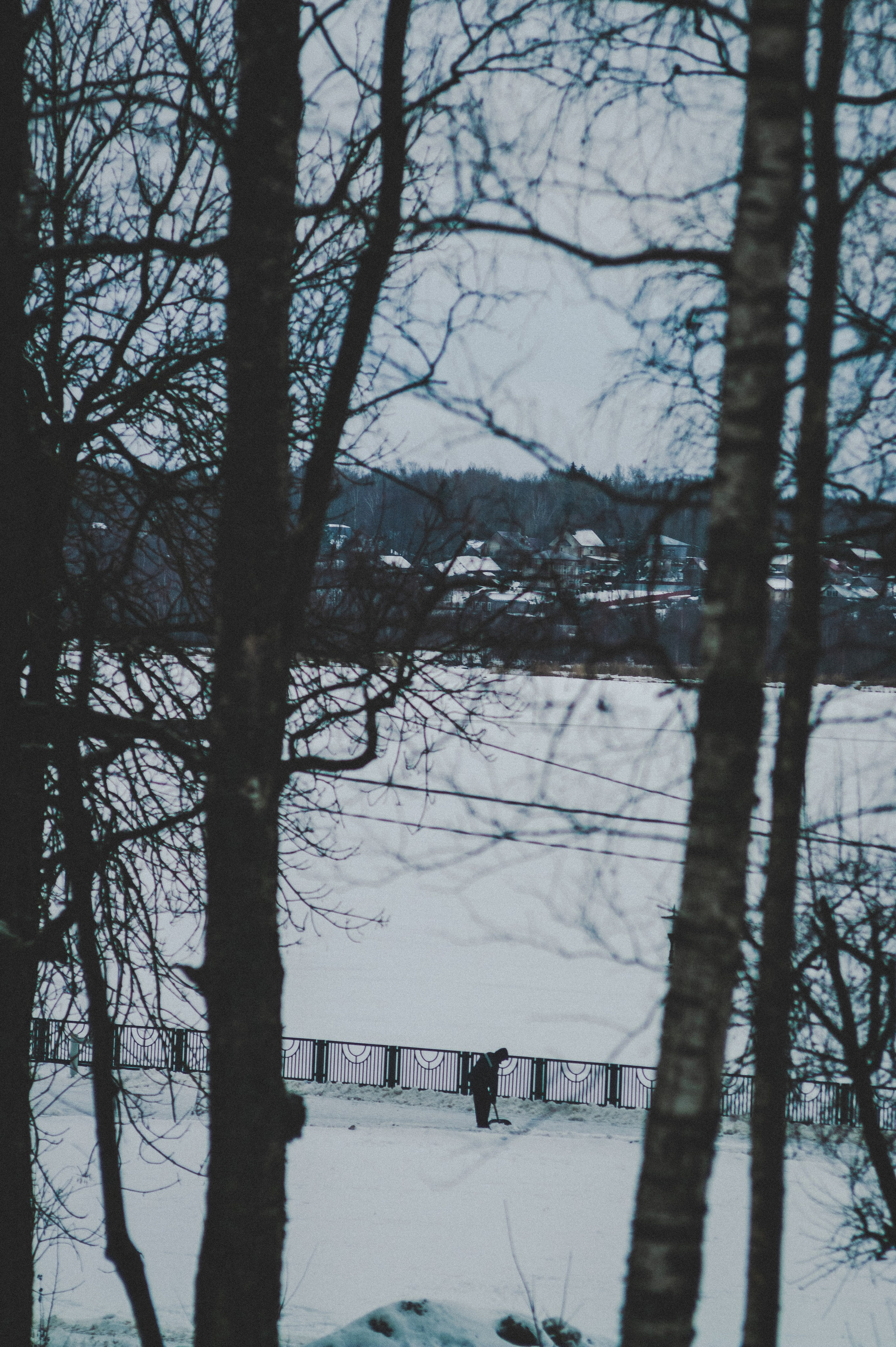 Colleague. Den Mirov — Photographer, Musician