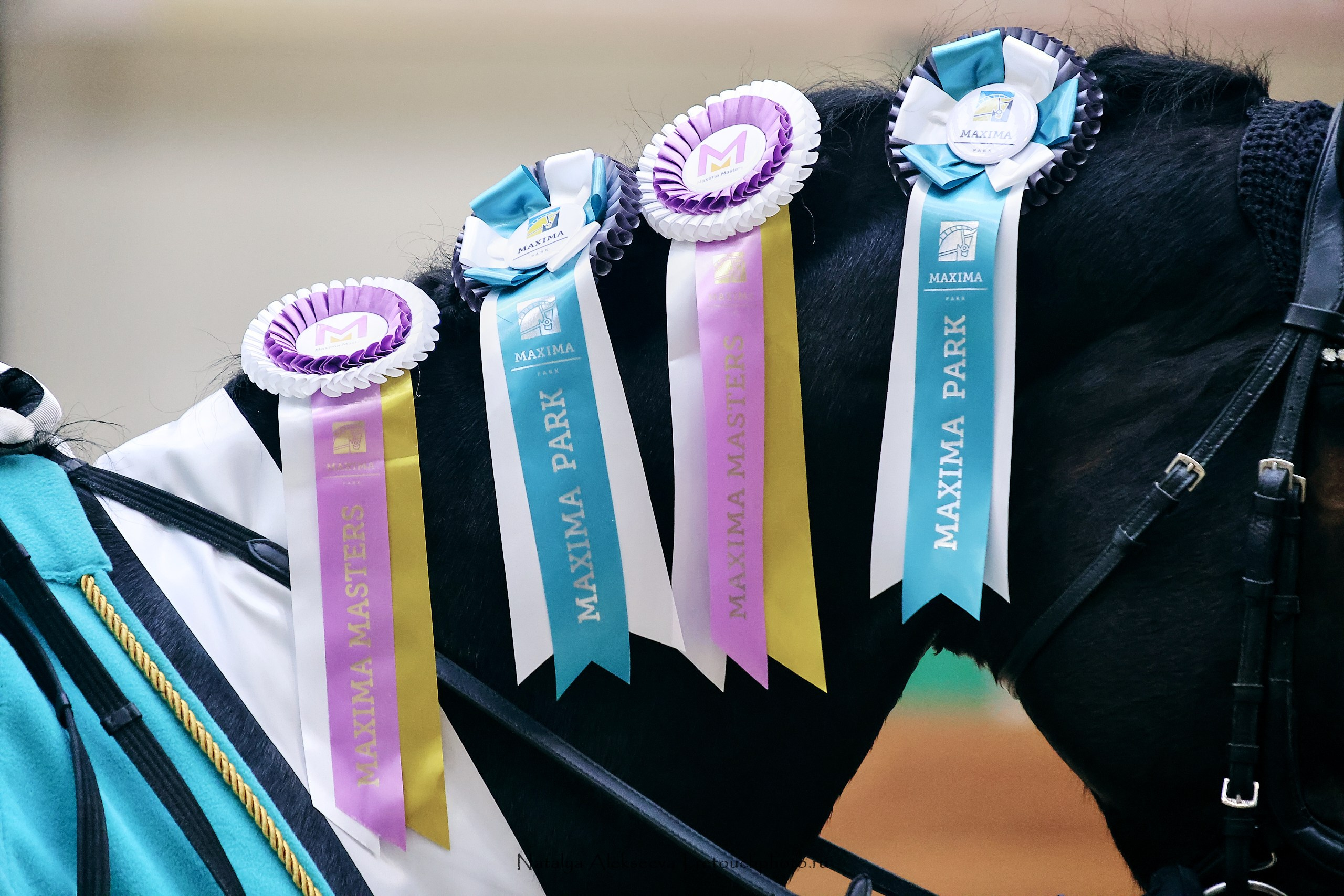 Финал Maxima Park по выездке, Maxima Stables | 10'2023