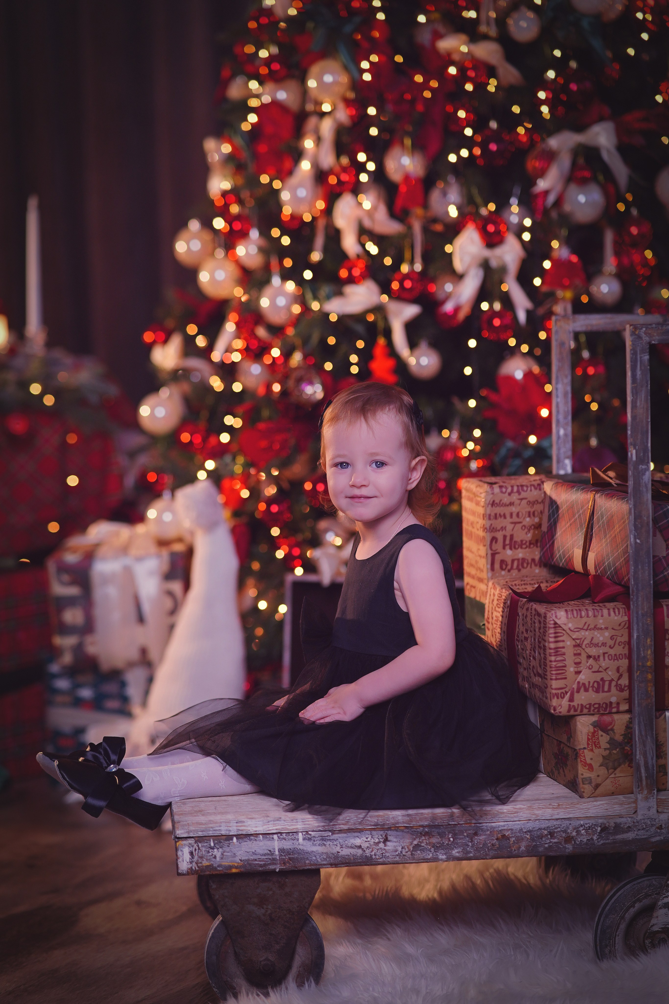Новогодние. Фотограф в Оренбурге Мария Иванова
