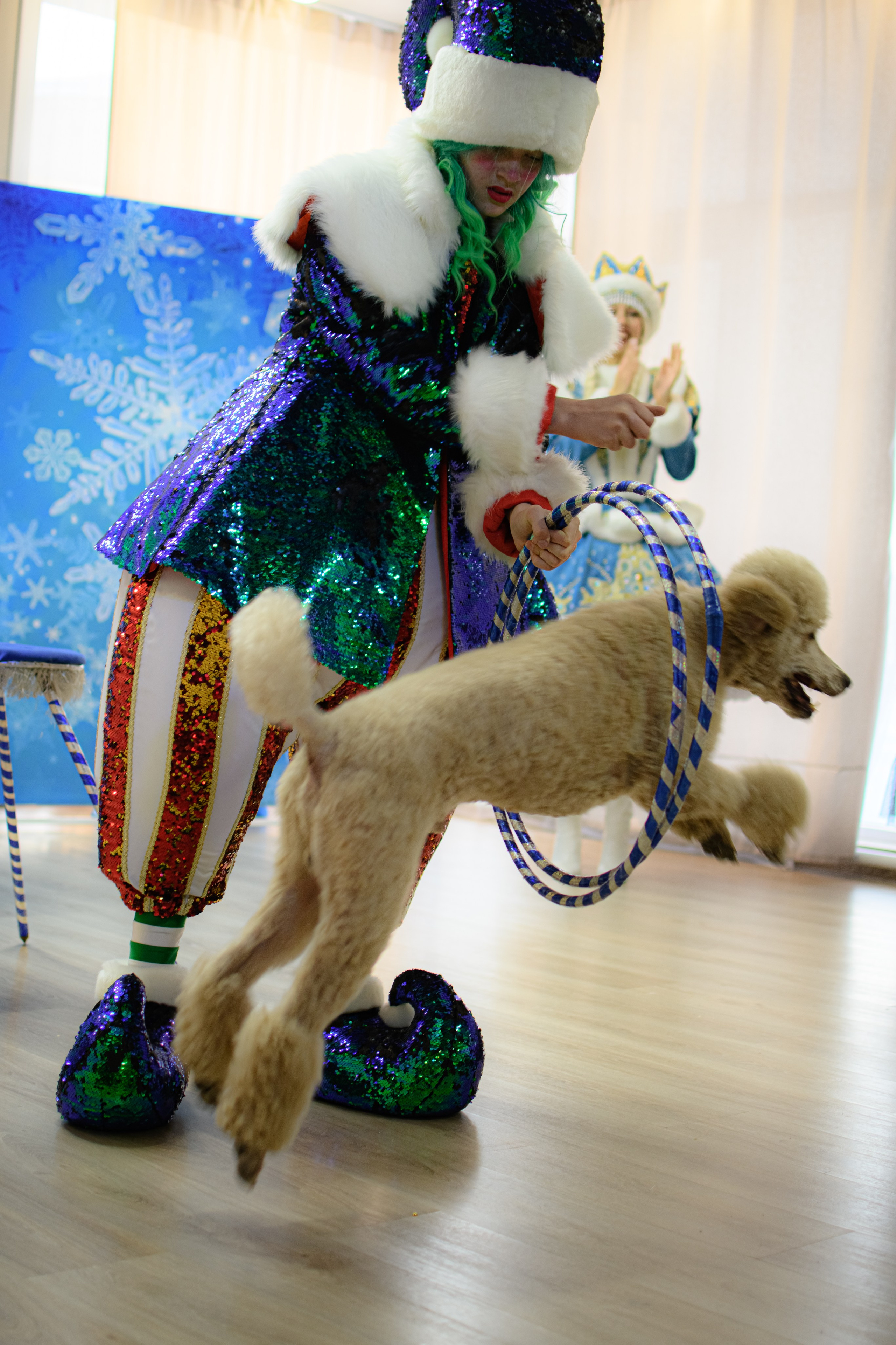 HAPPY NEW YEAR. Photokarish