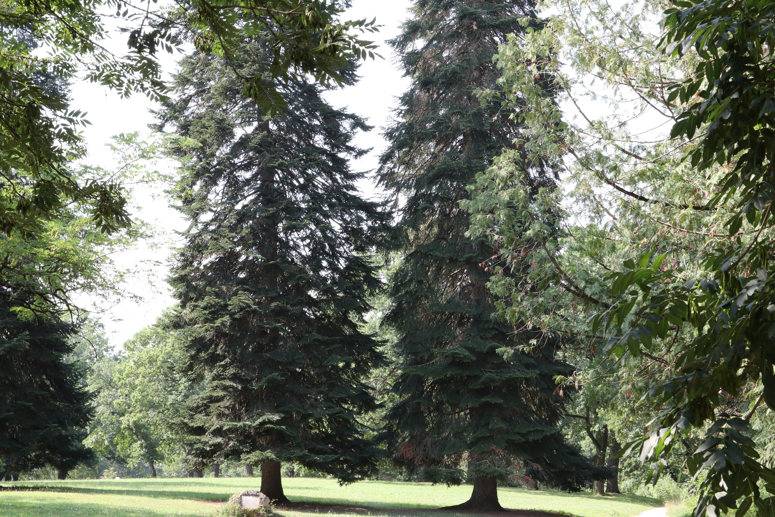 Кисловодские пейзажи. Фото-художник и Репортажный фотограф Николаев Александр Алексеевич