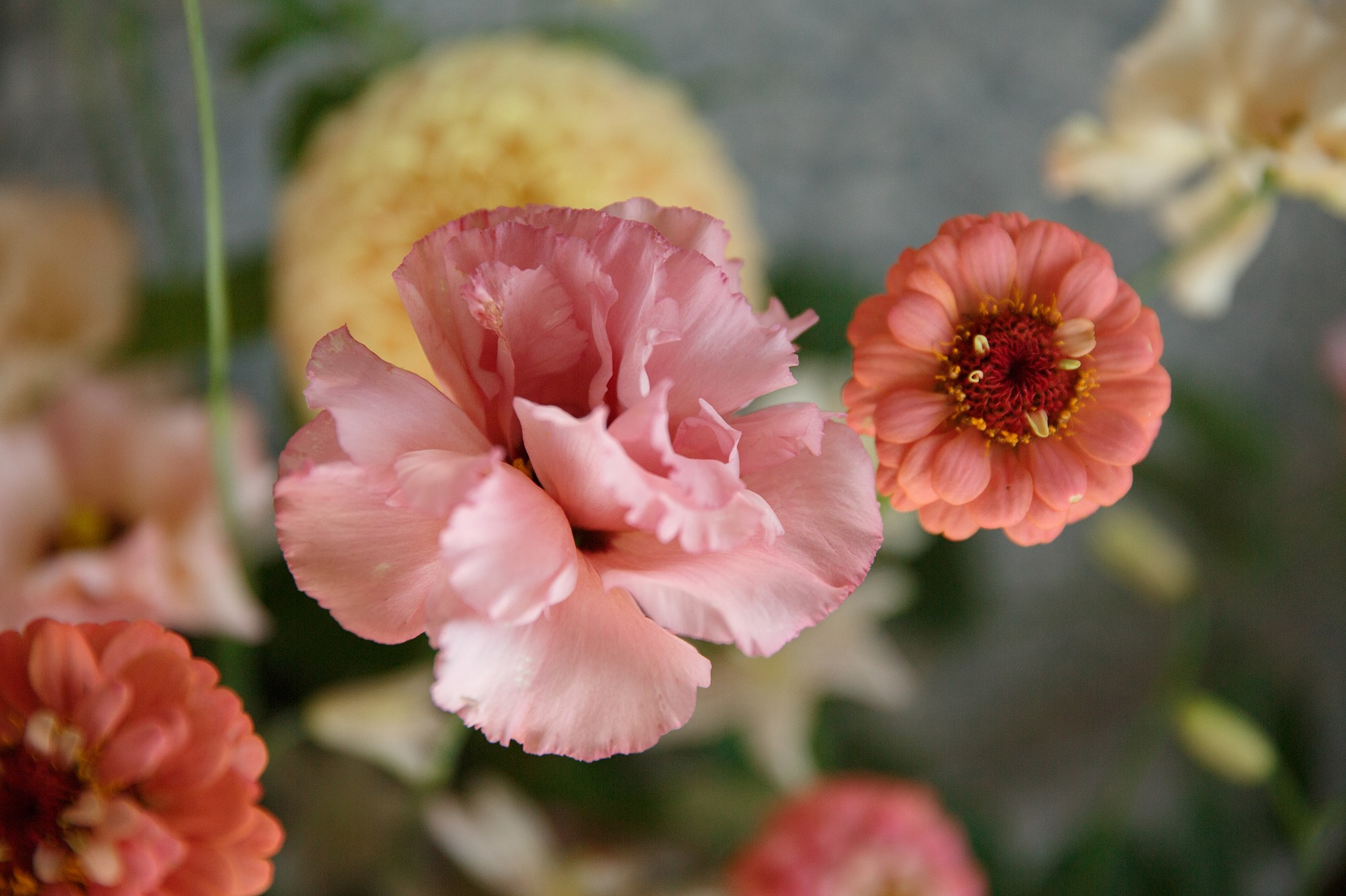 Social Club (Sezony). Свадебный фотограф в Санкт-Петербурге Наталья Вендт