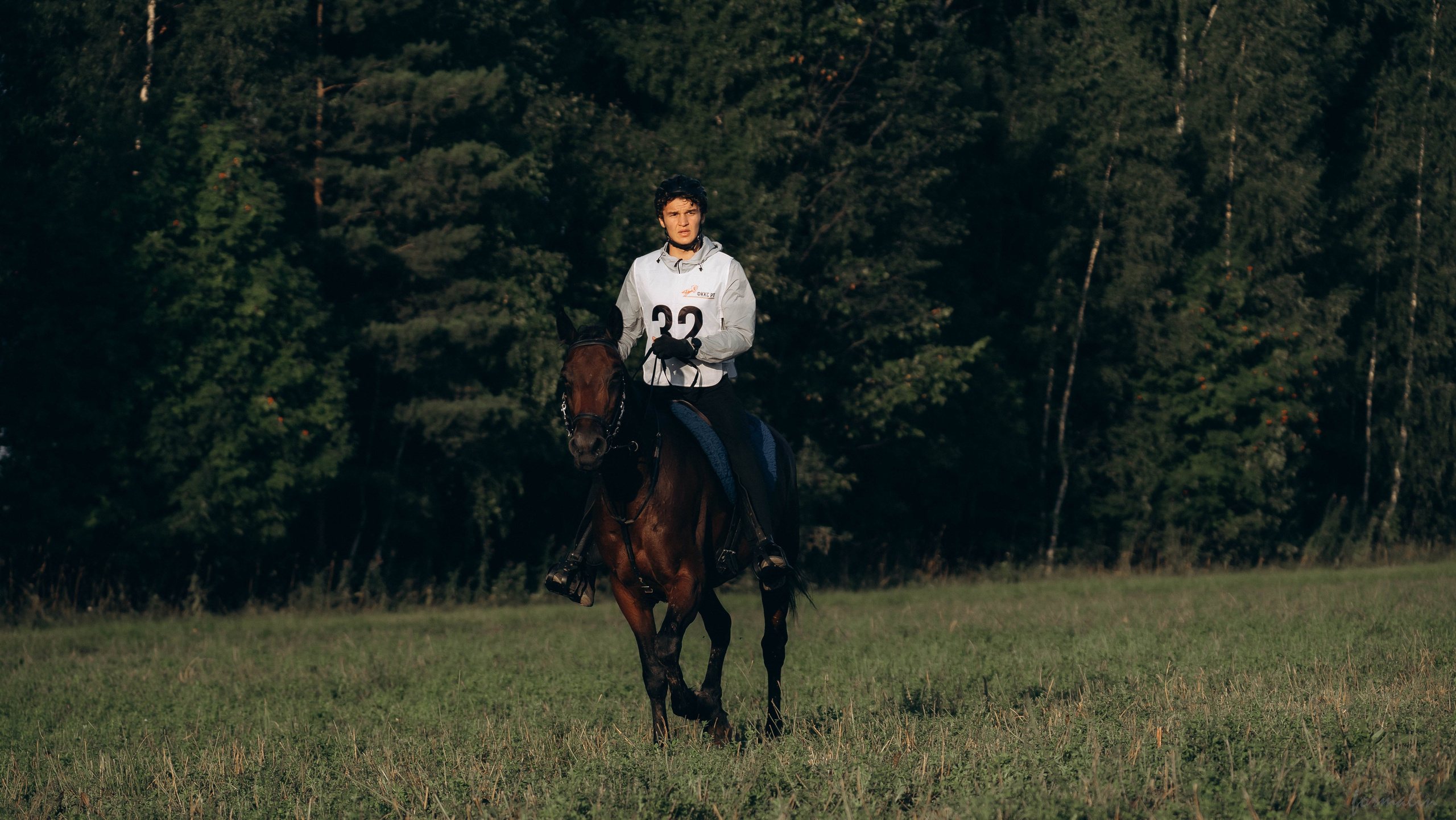 День Коня. Алиса Никитцова | Фотограф в Казани