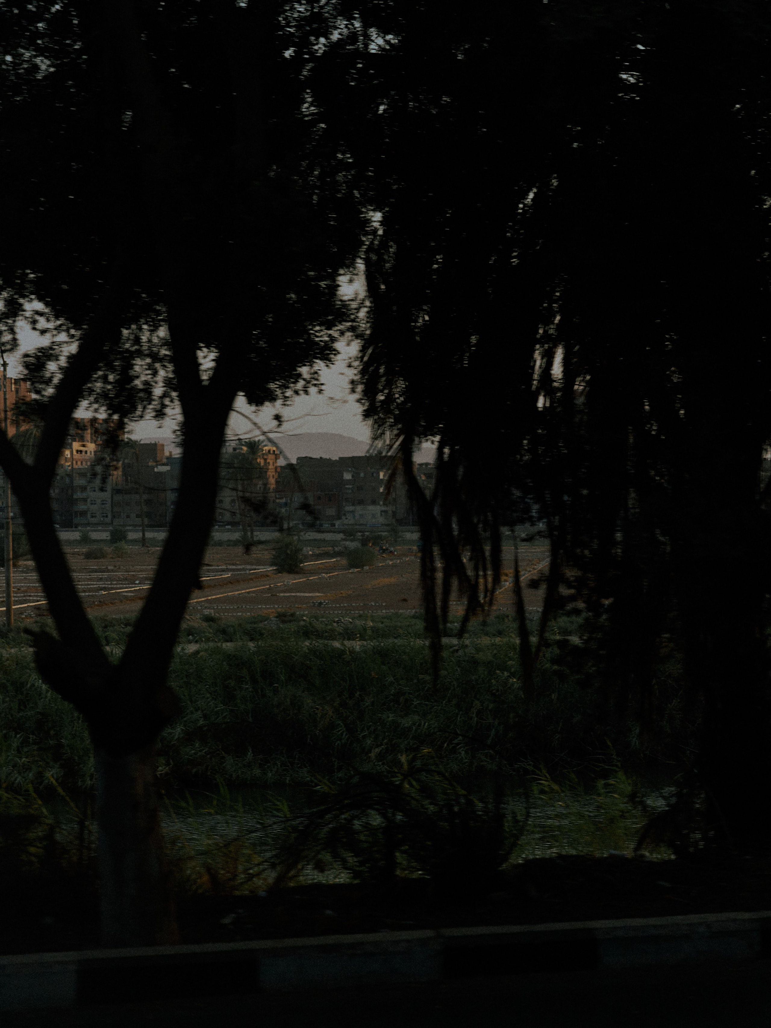 Другое 2. Jorgis Talè — photographer, kind person, teacher of arts and other mag