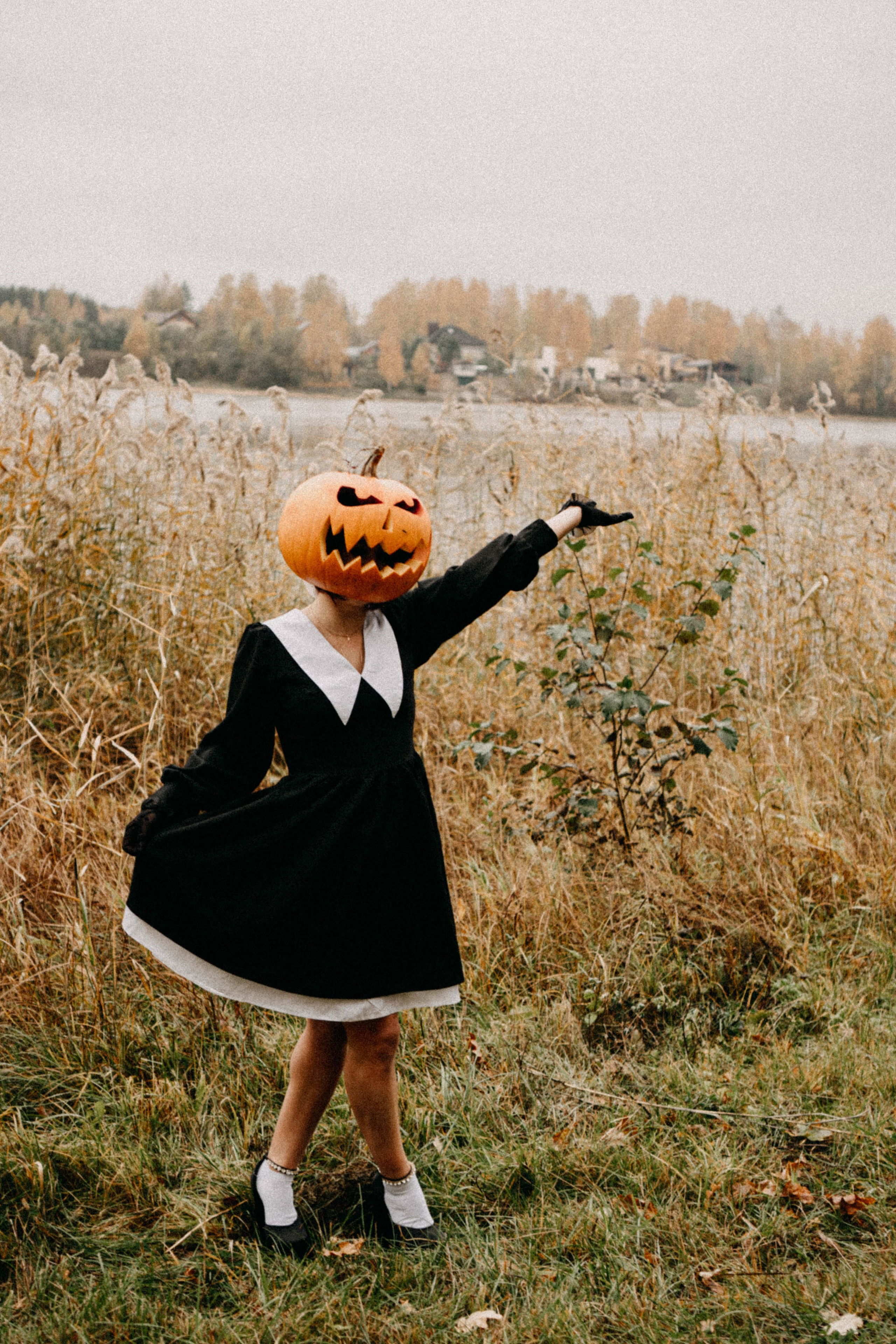 Осеняя. Профессиональный фотограф, Санкт-Петербург — Виктория Богомолова