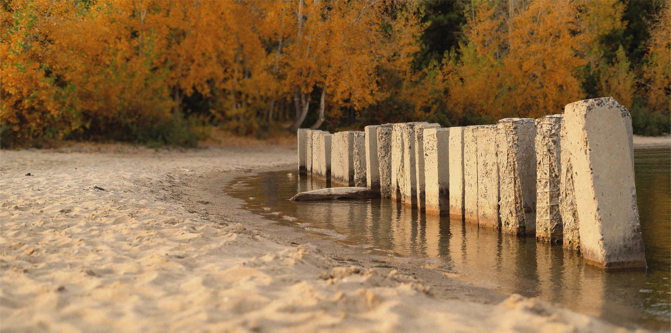 Фотосессия на природе Новосибирск Краснообск