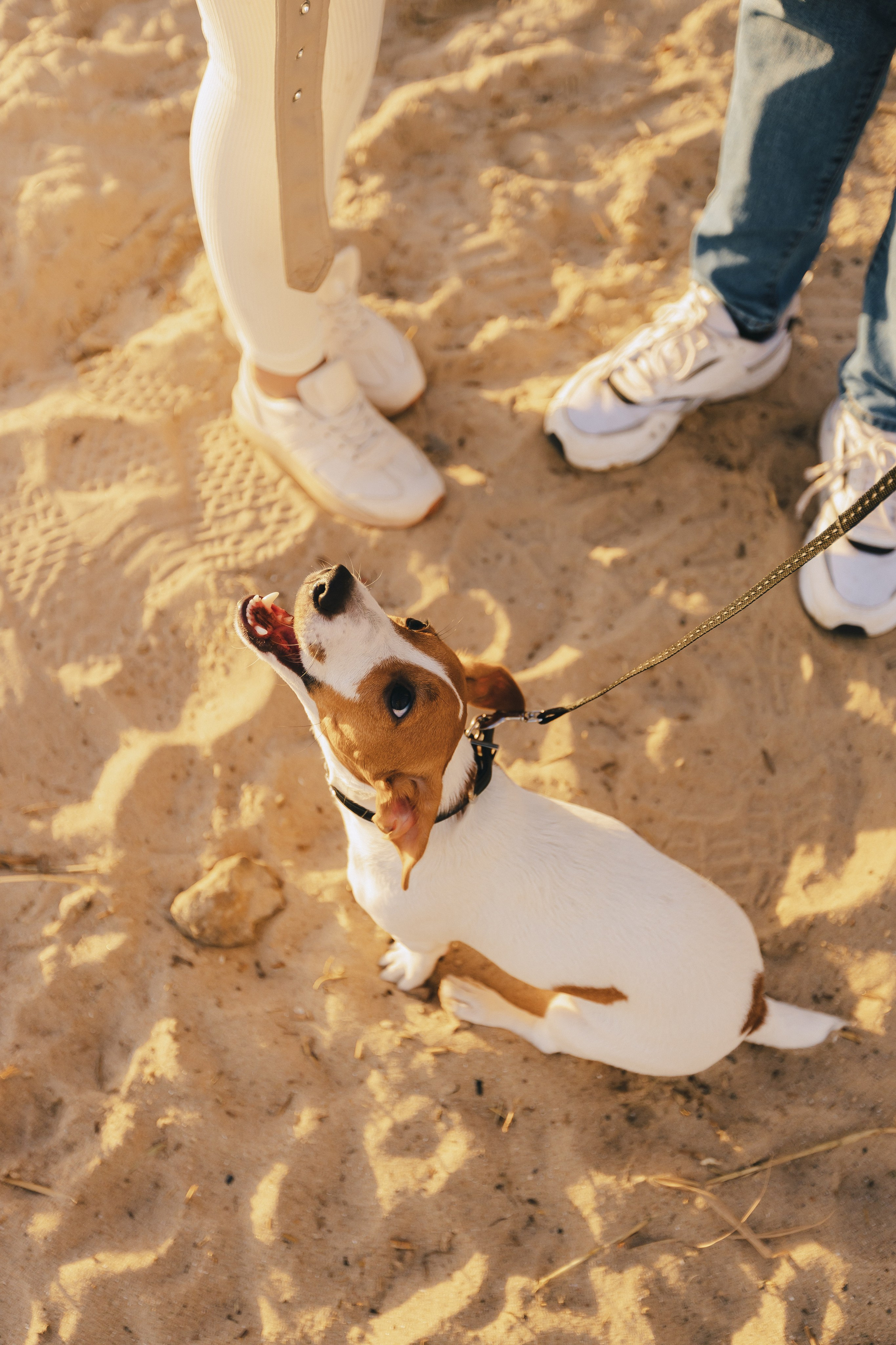 Василиса и Алексей. Фотограф Таганрог Любимая Надя