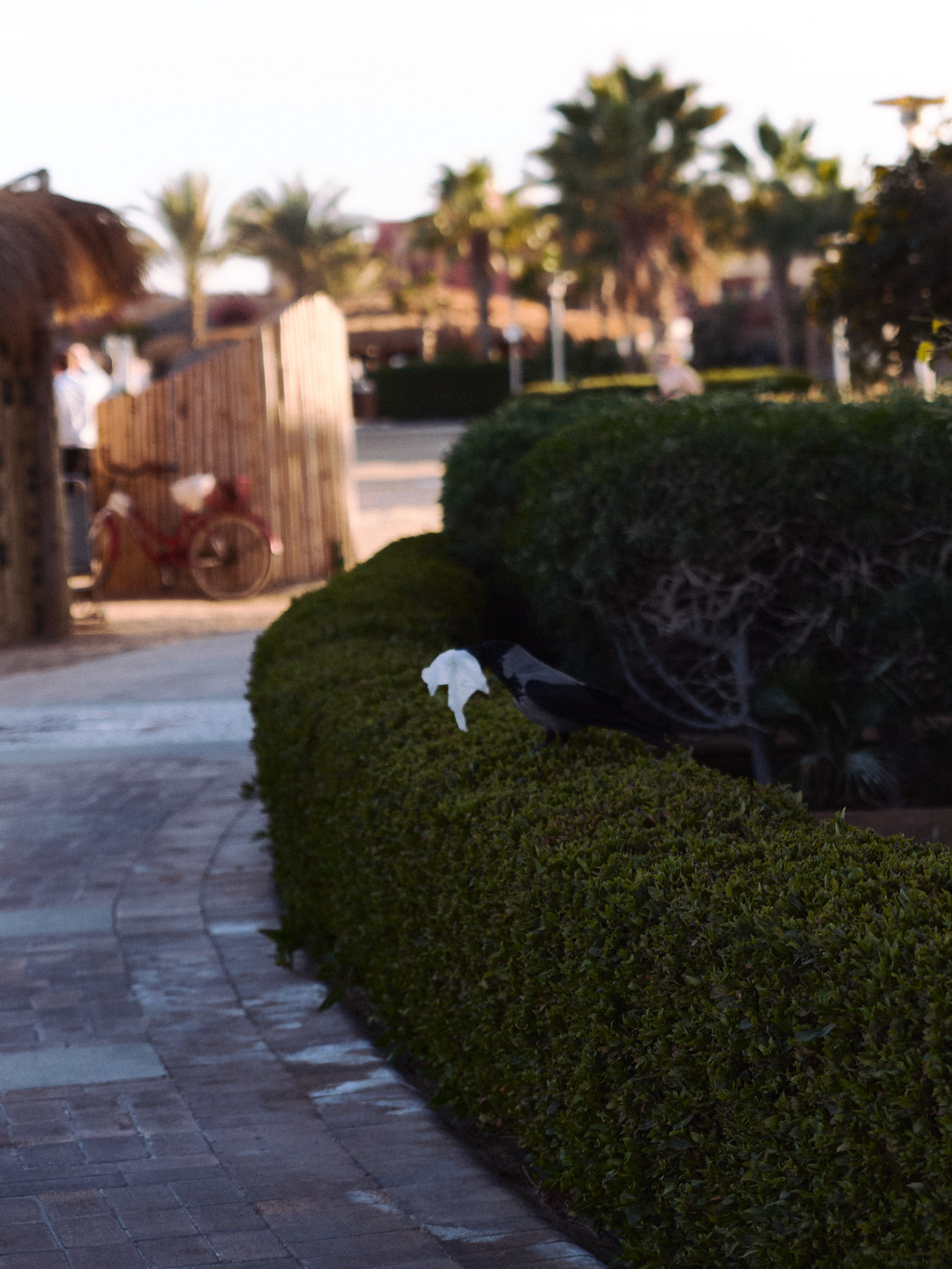 Другое 2. Jorgis Talè — photographer, kind person, teacher of arts and other mag