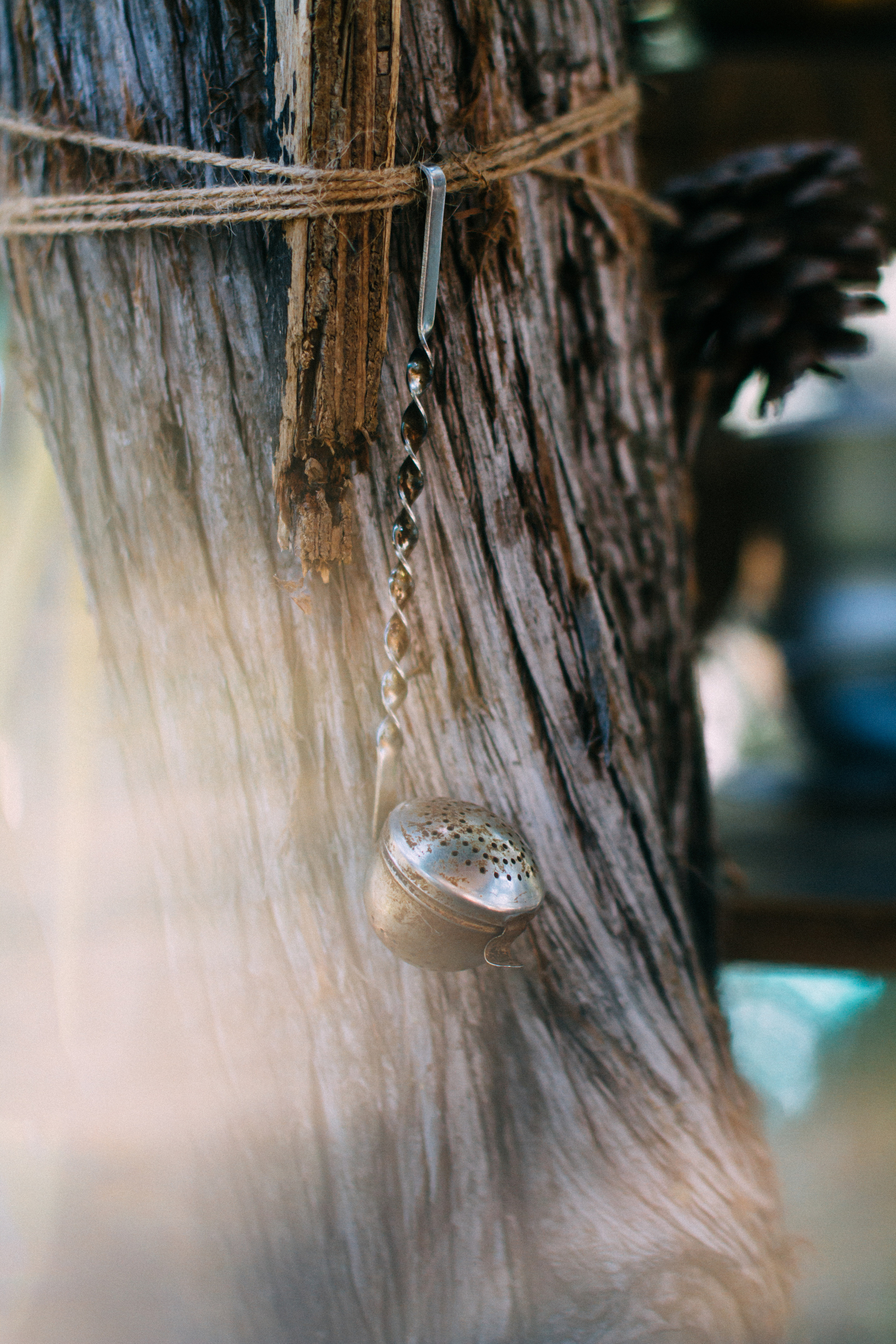 Проводы лета 2021 на мысе АЯ. Фотограф Антон Катунин | Симферополь