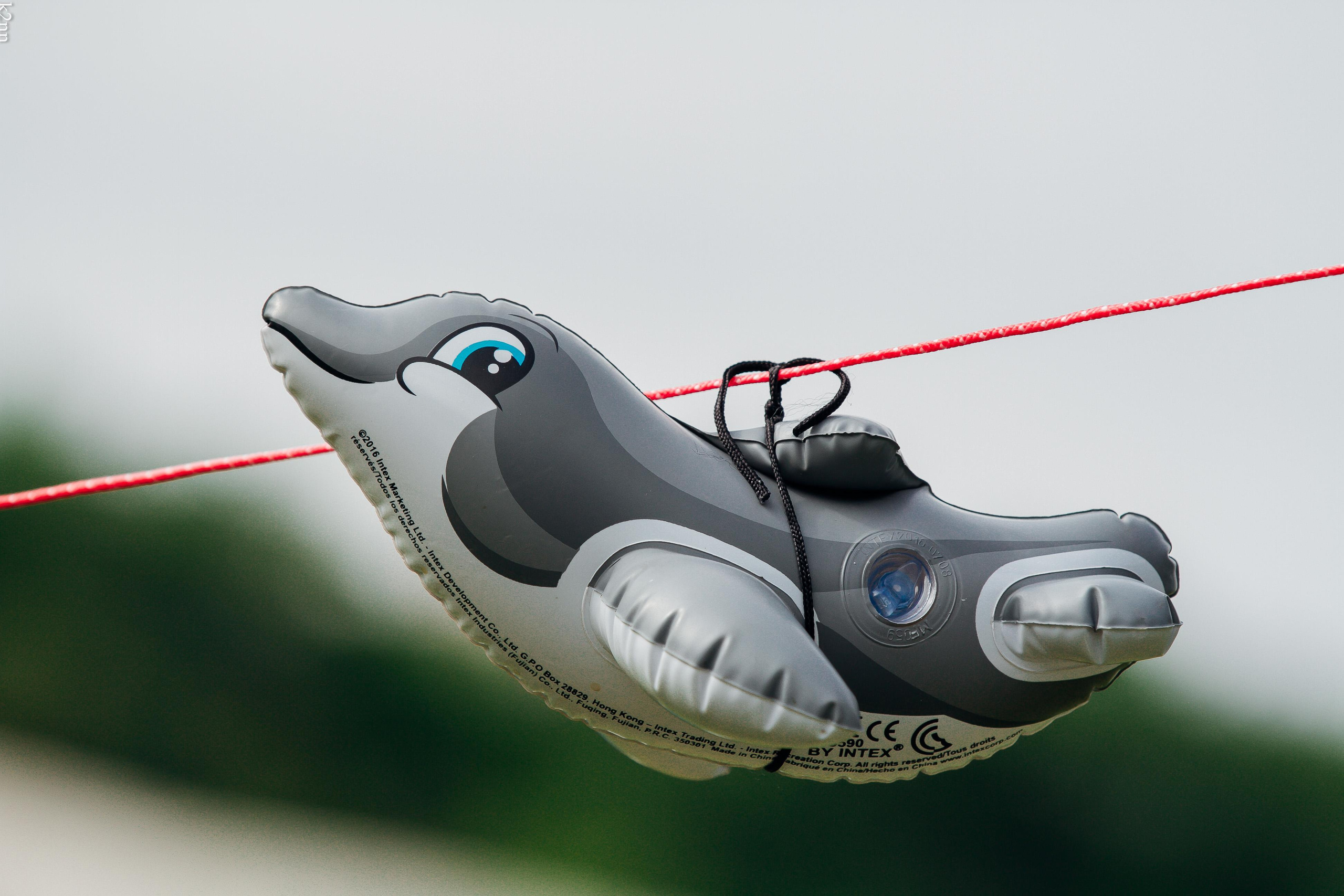 Sun Spirit 2018. Фотограф Антон Катунин | Симферополь