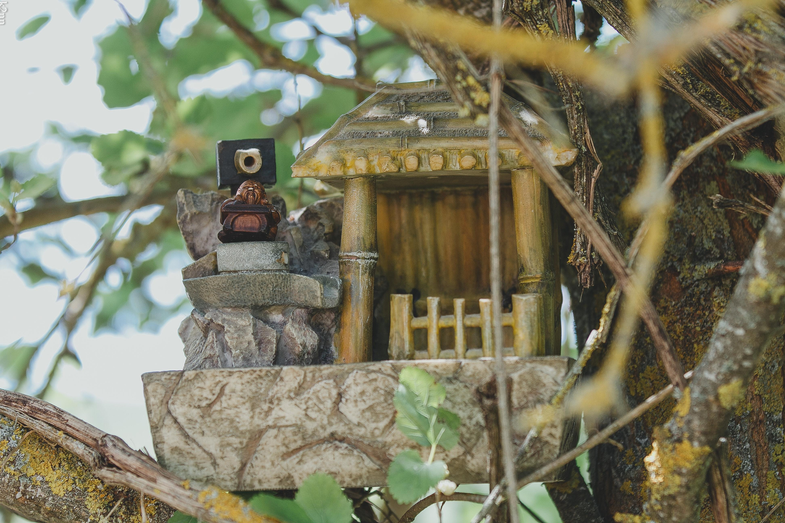 Sun Spirit 2018. Фотограф Антон Катунин | Симферополь