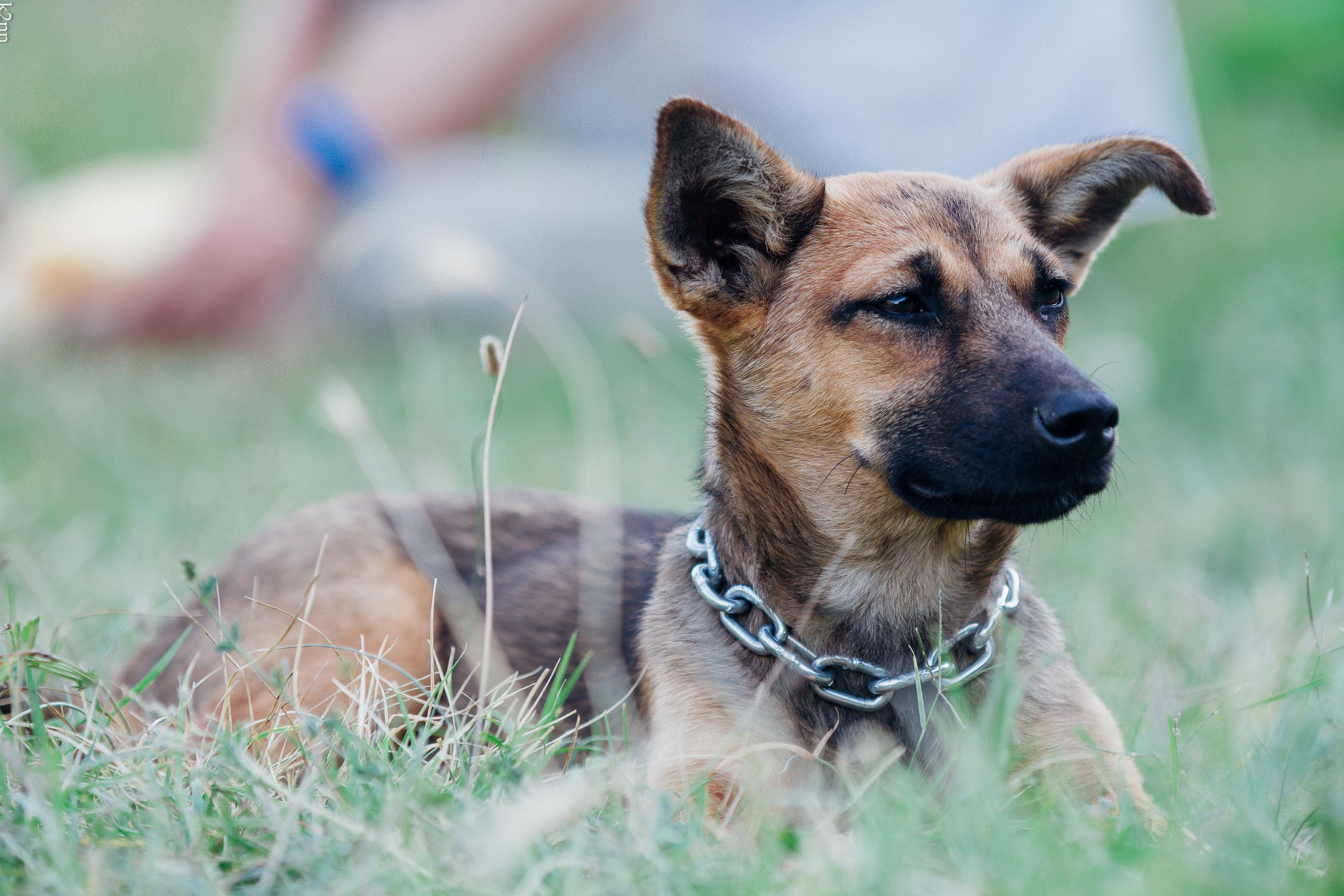 Sun Spirit 2018. Фотограф Антон Катунин | Симферополь
